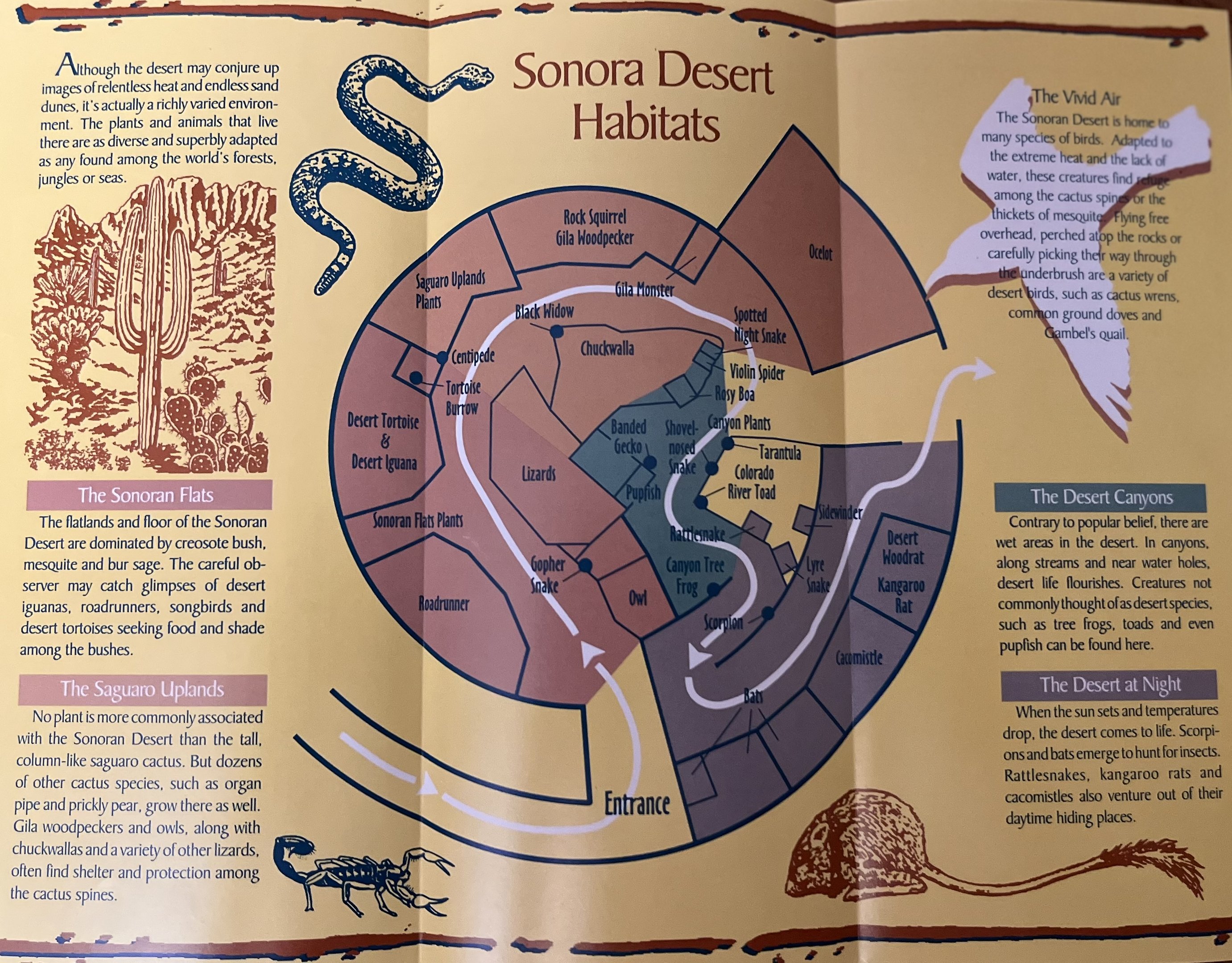 Sonora Desert Building Map