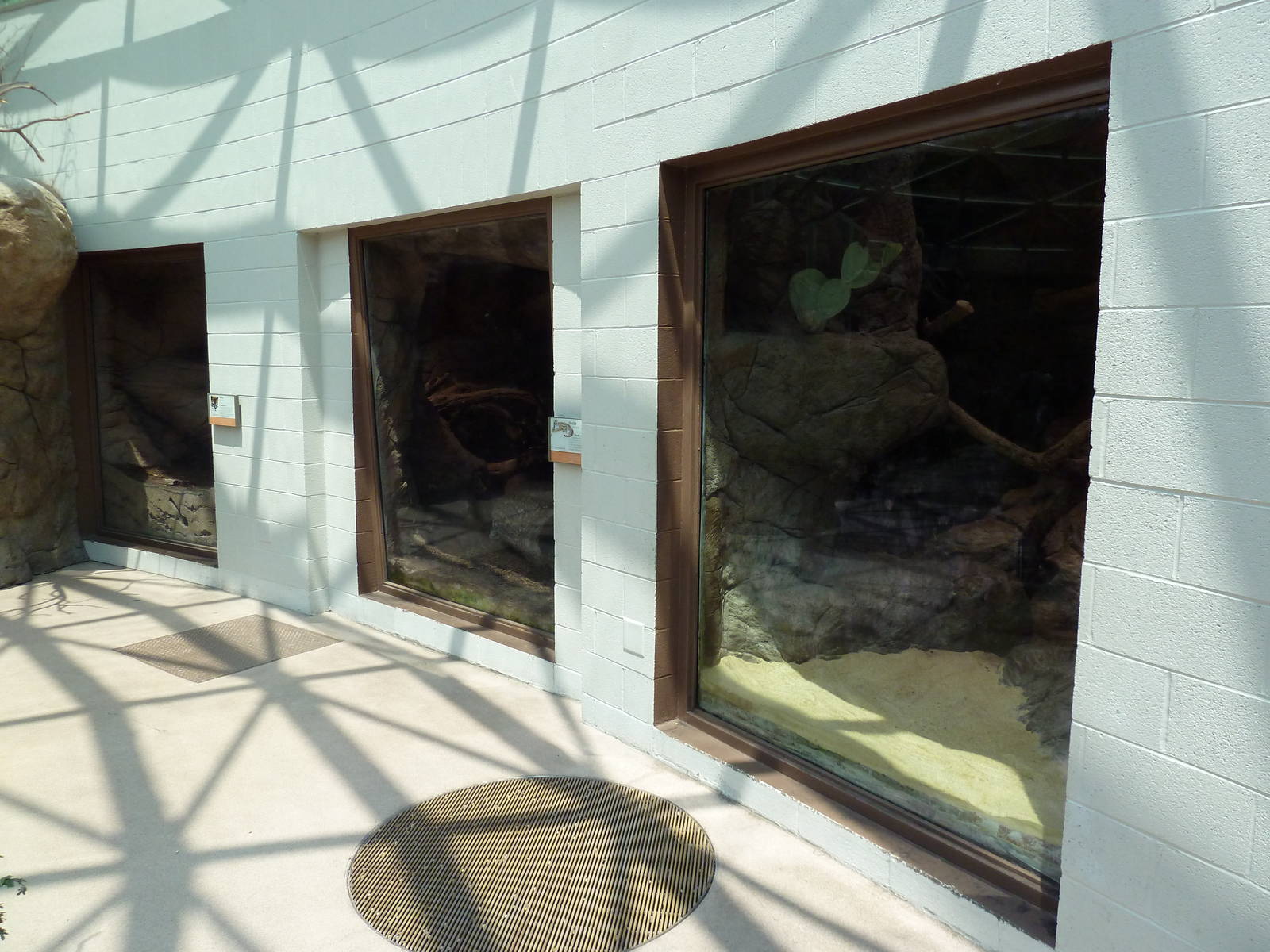 Sonora Desert Building - Ocelot Exhibit