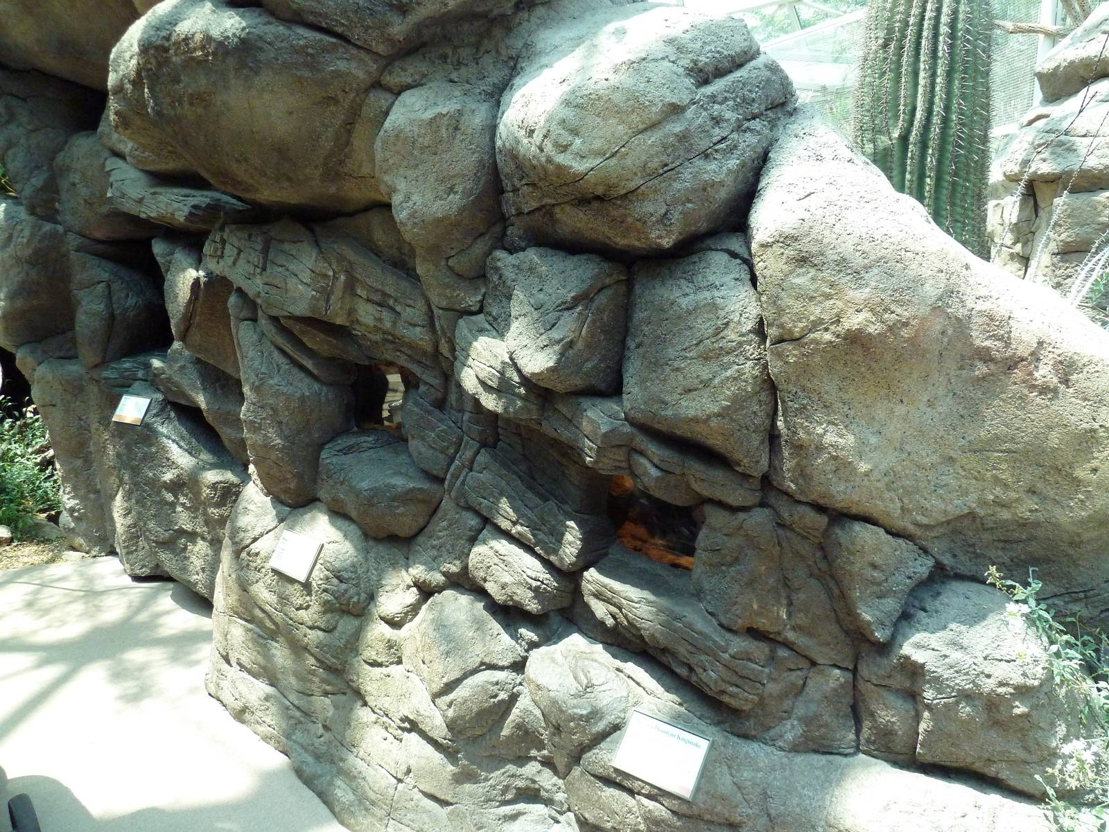 Sonora Desert Building - Terrariums