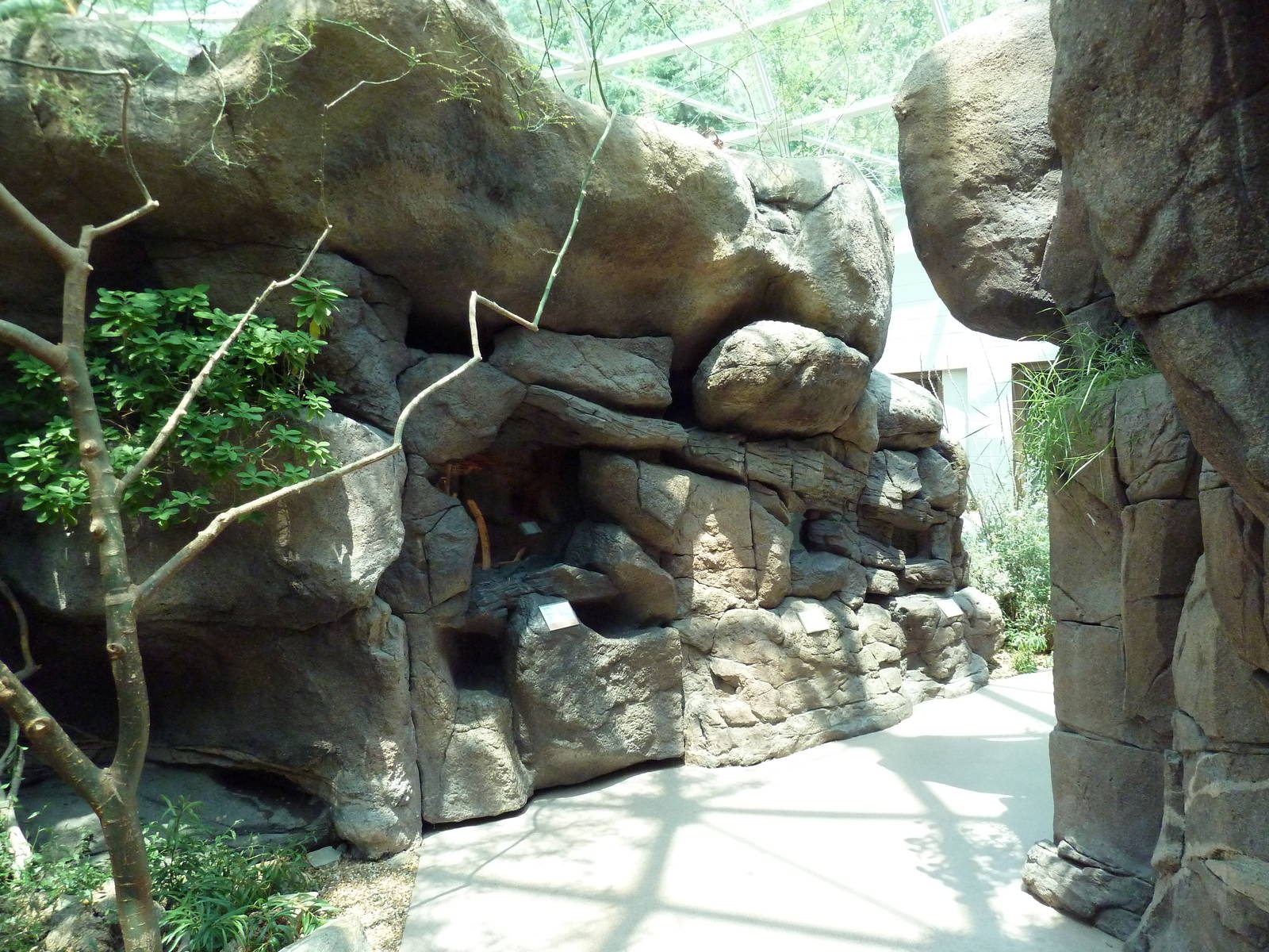 Sonora Desert Building - Terrariums