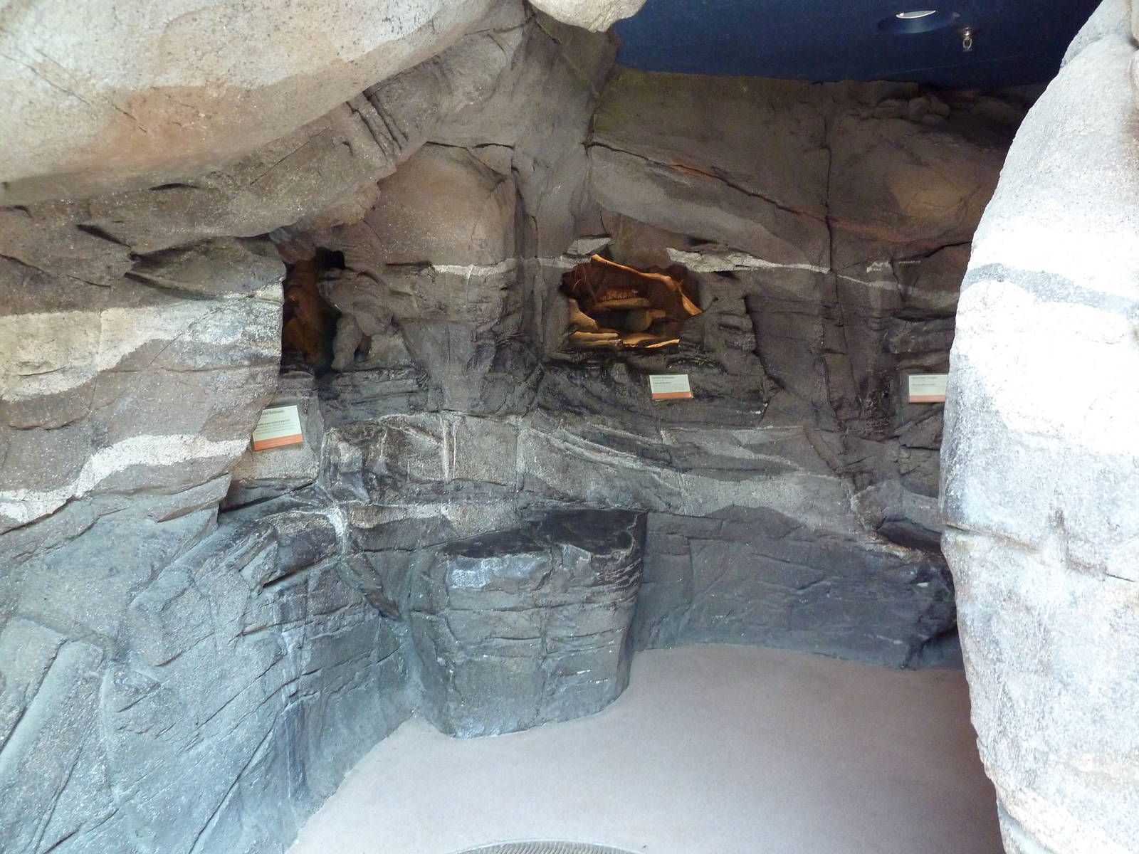 Sonora Desert Building - Terrariums