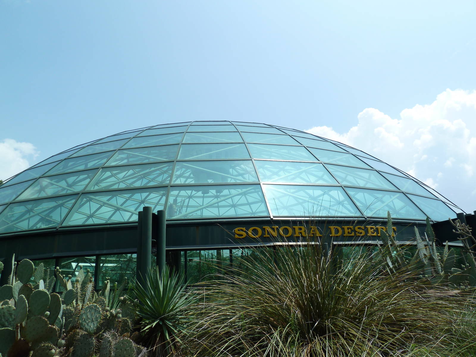Sonora Desert Building