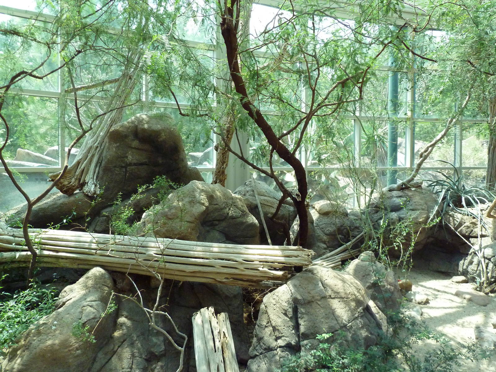 Sonora Desert Building