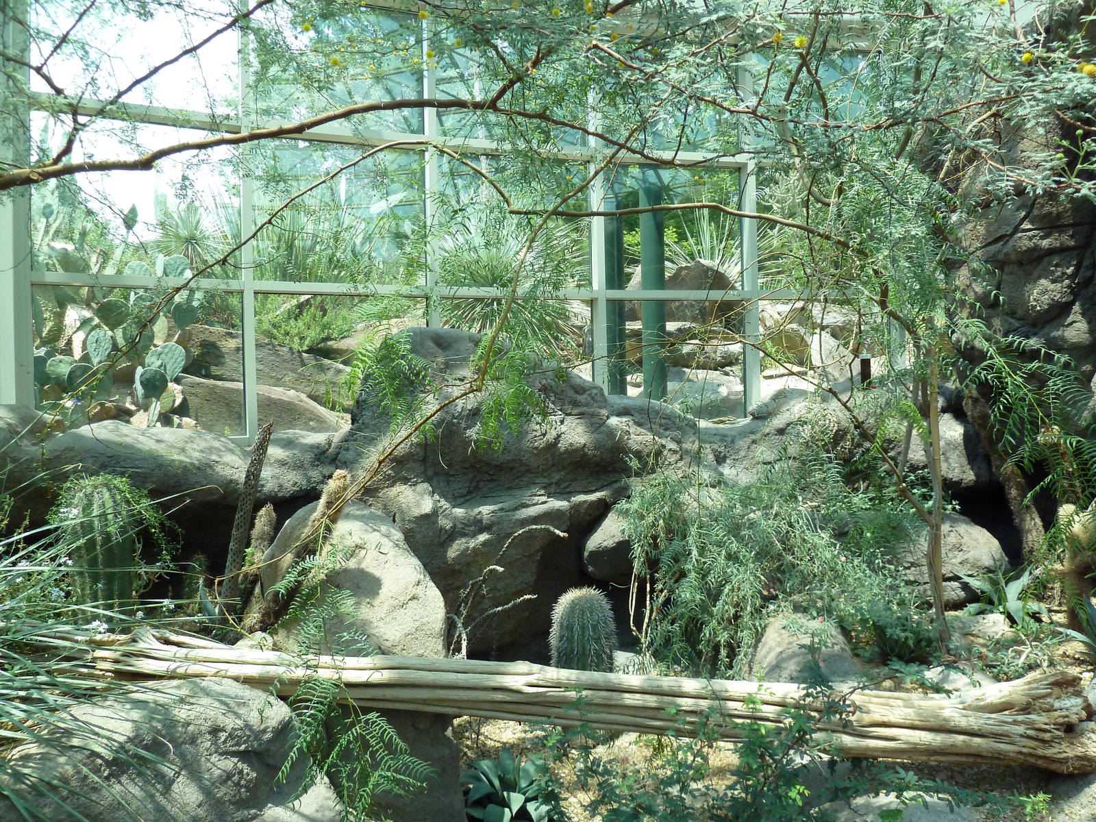 Sonora Desert Building