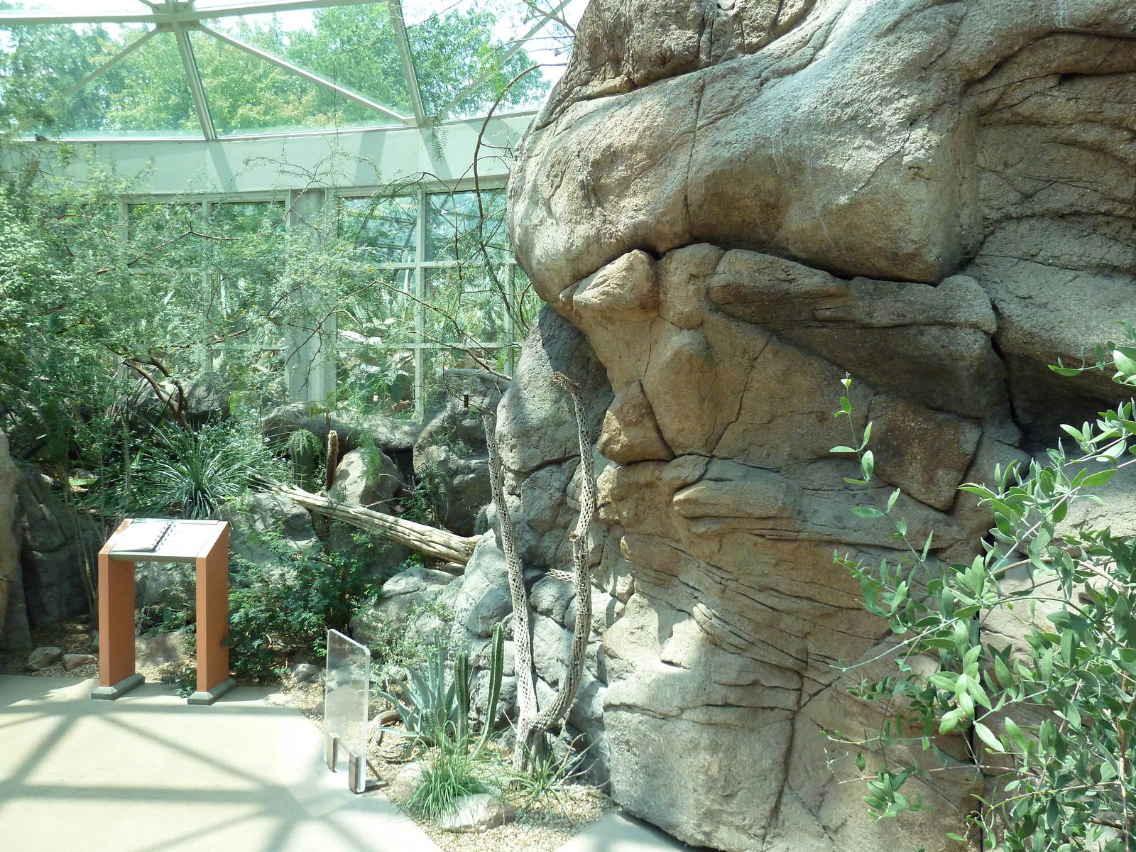 Sonora Desert Building