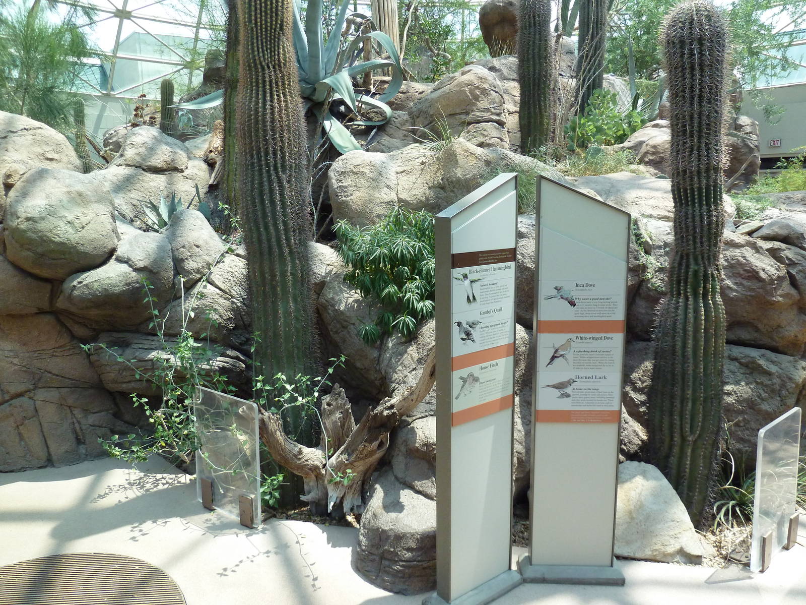 Sonora Desert Building