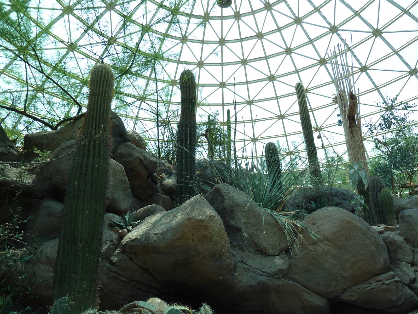 Sonora Desert Building