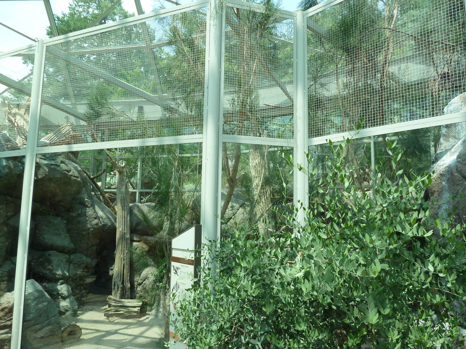 Sonora Desert Building