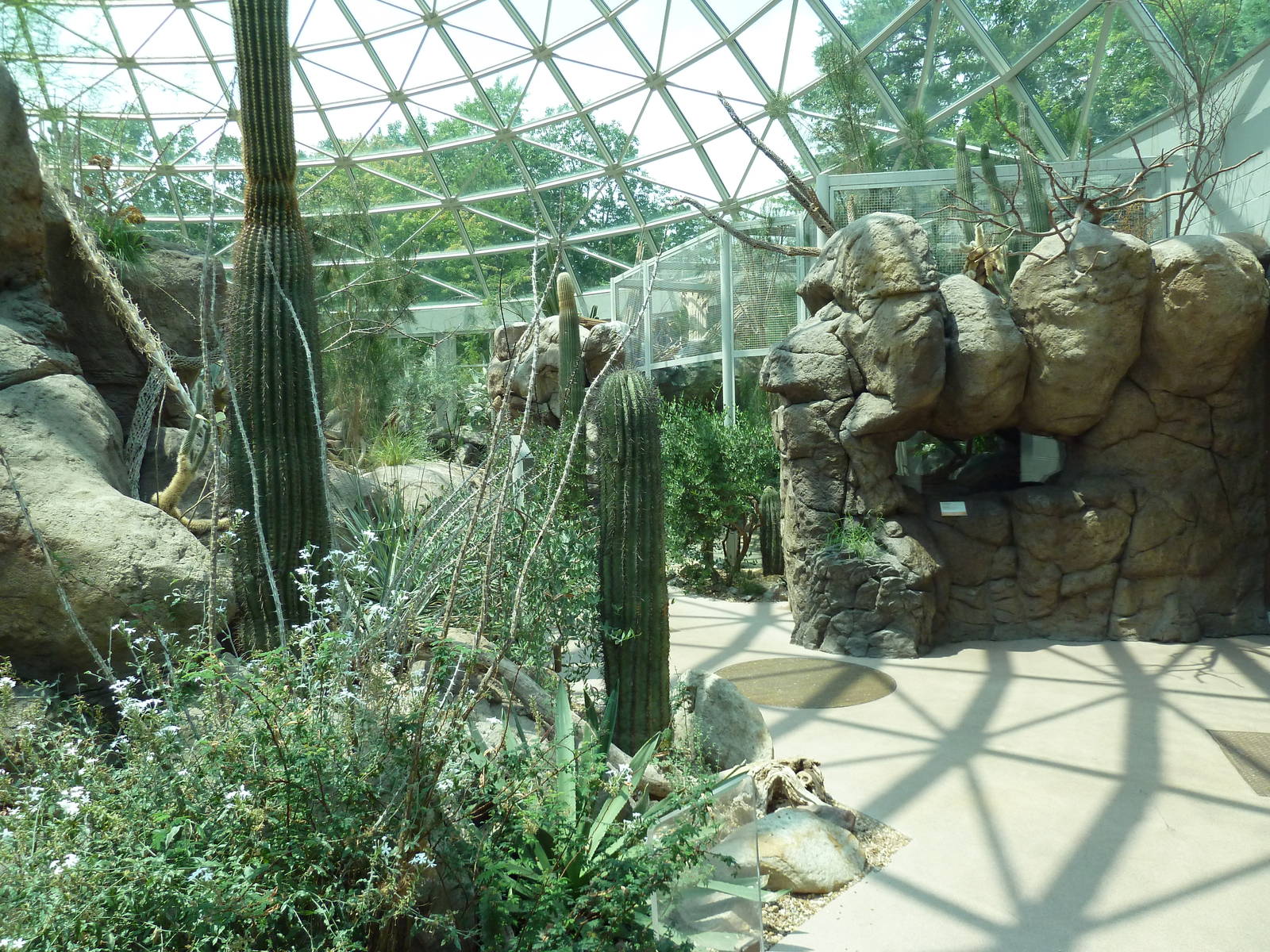 Sonora Desert Building