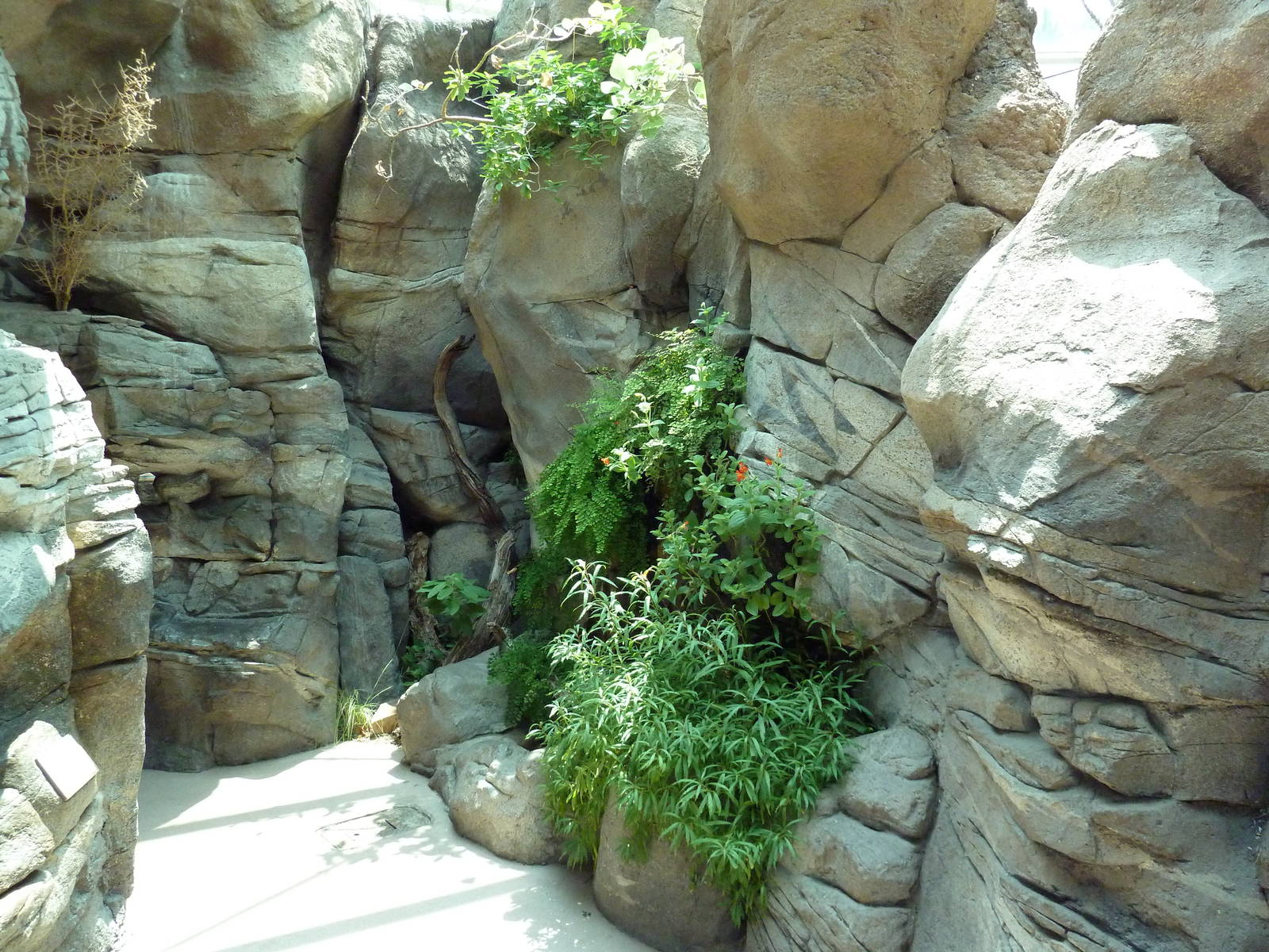 Sonora Desert Building