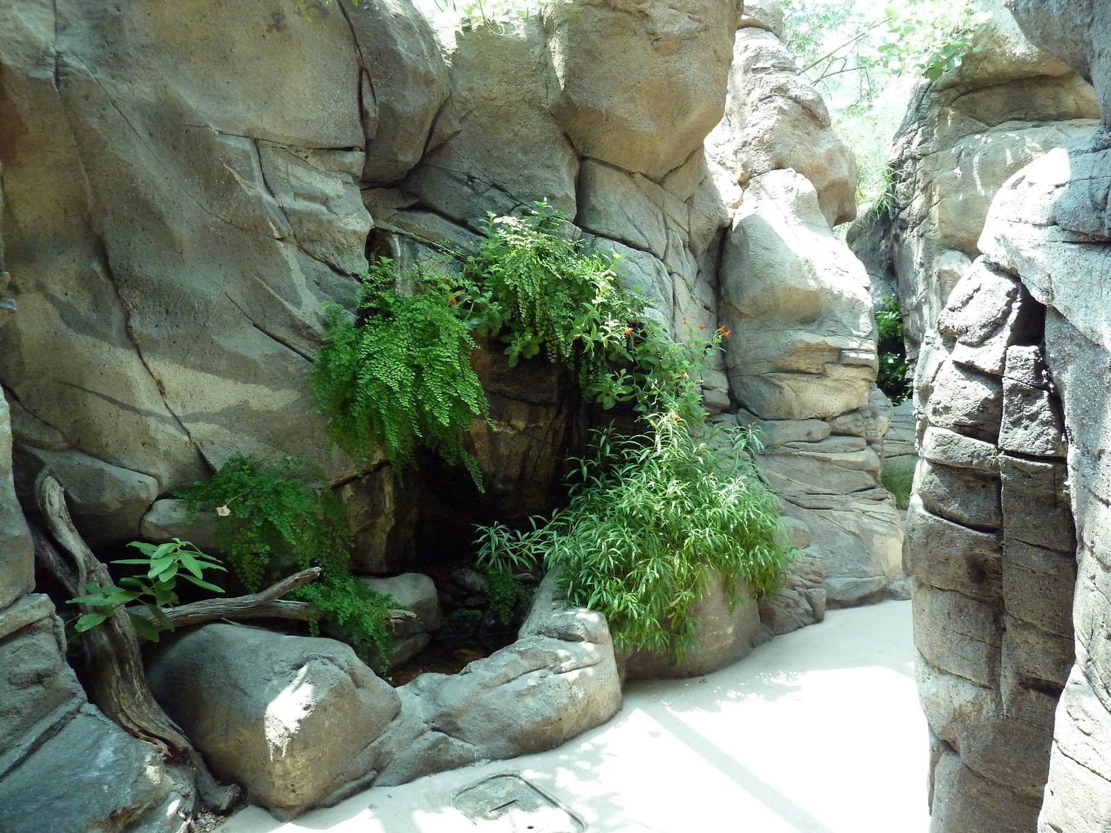 Sonora Desert Building