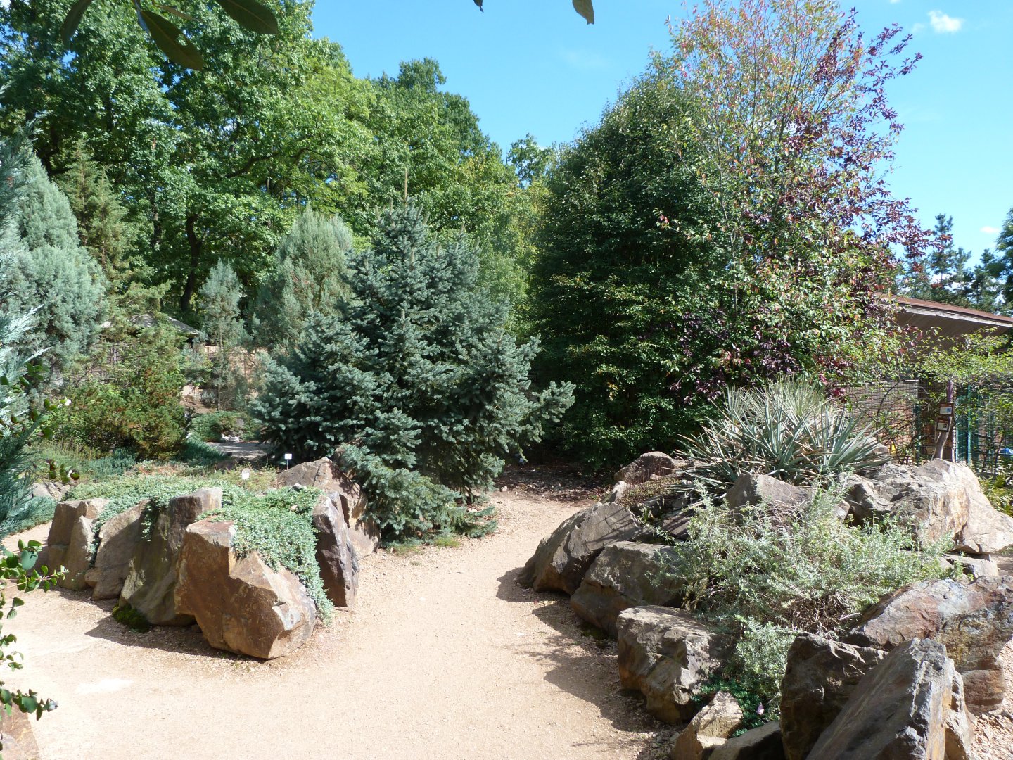 Sonora desert garden -Zoo Plzeň (2025)