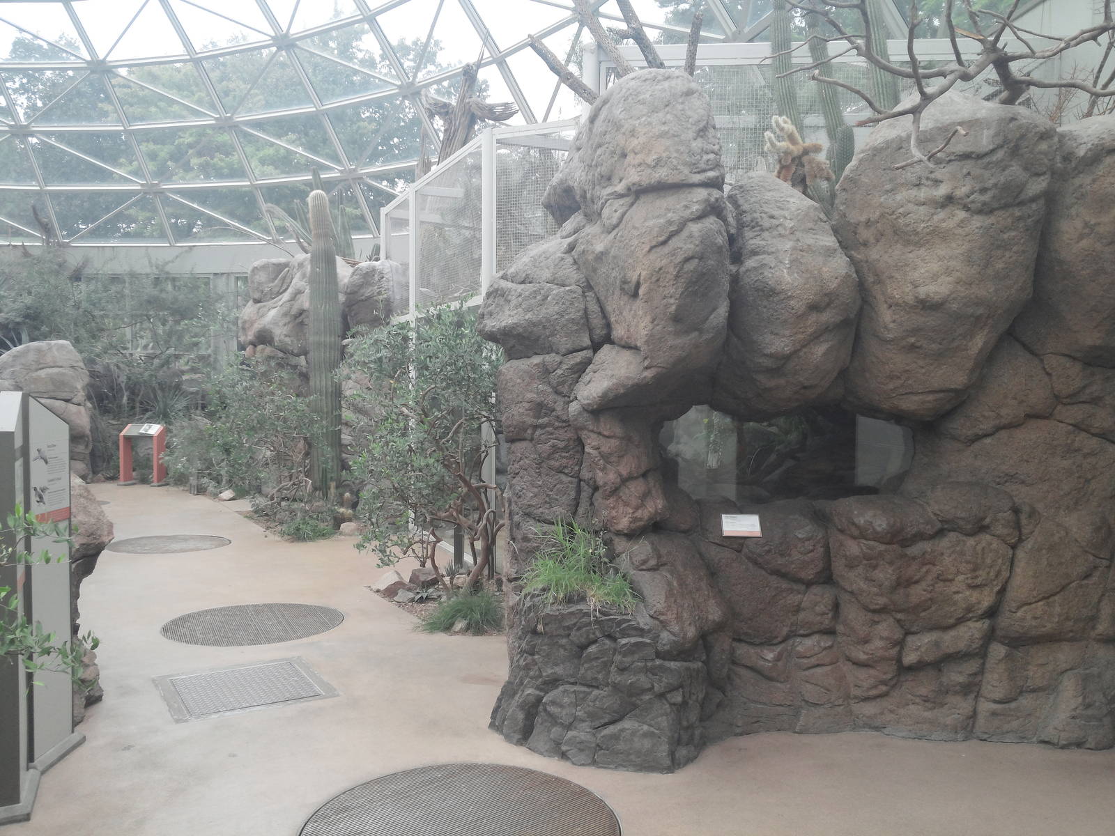 Sonora Desert - Interior