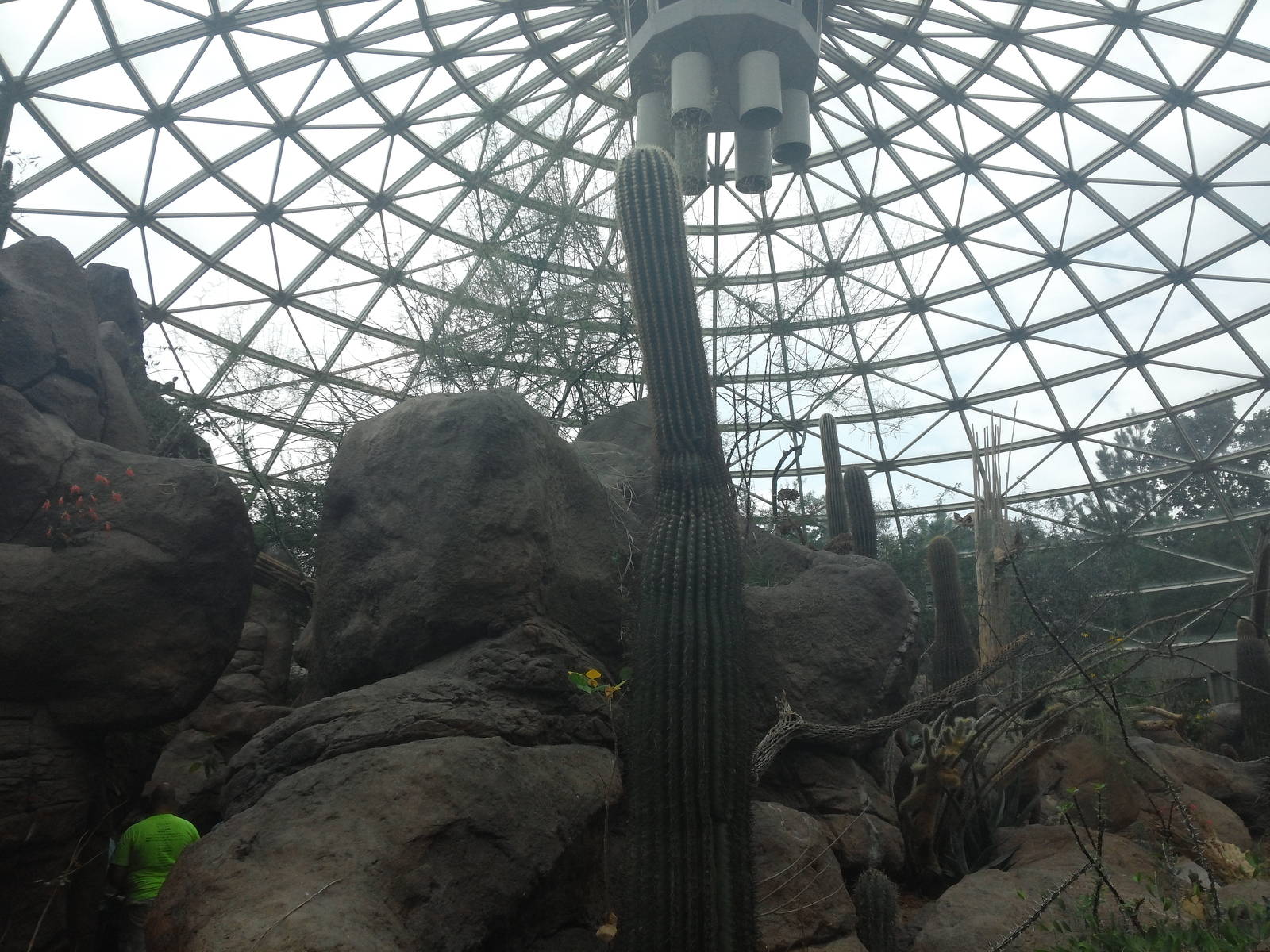 Sonora Desert - Interior