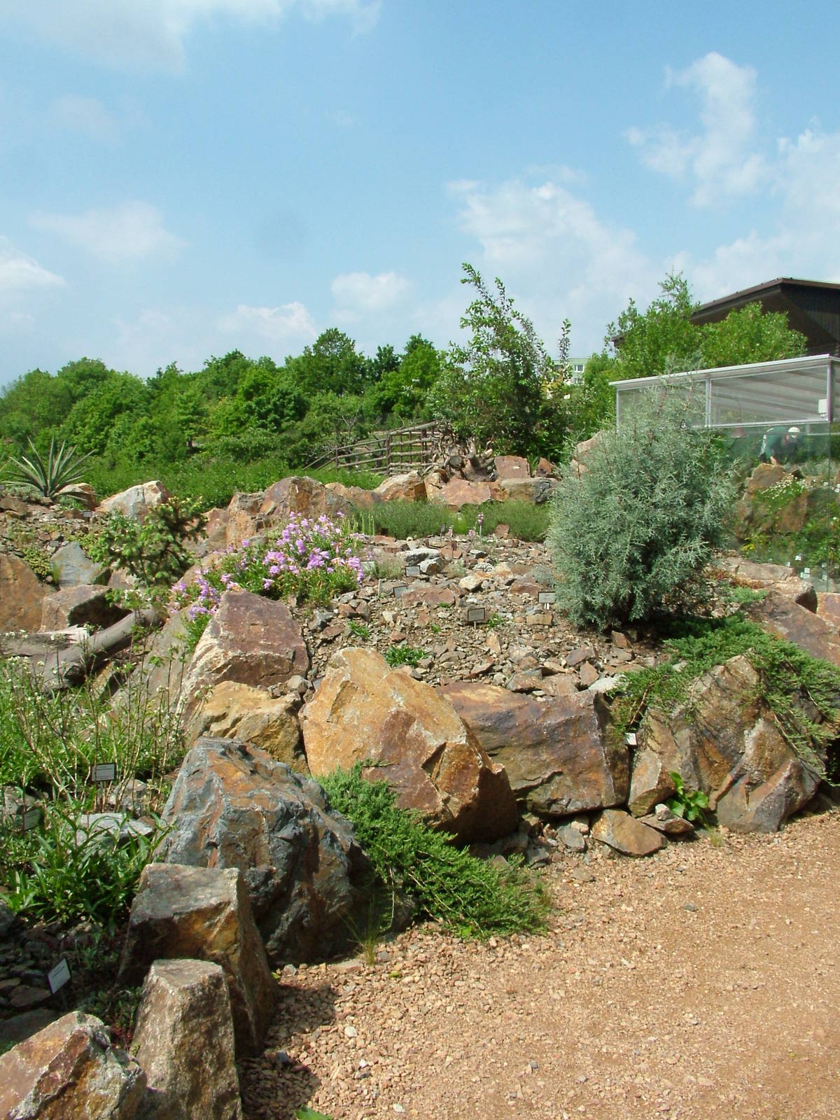 Sonora Garden at Plzen, 25/05/10