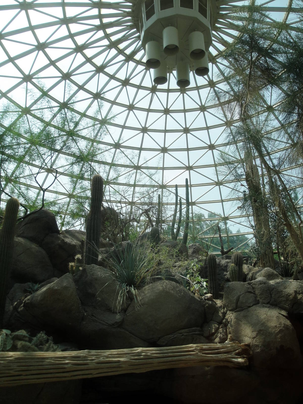 Sonoran Desert Dome