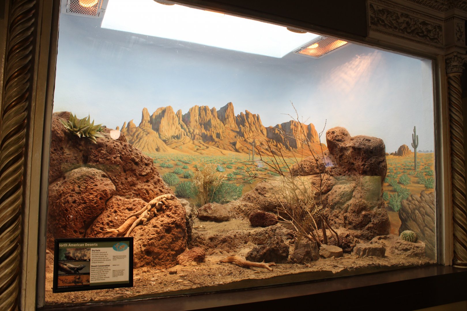 Sonoran Desert Exhibit - Herpetarium