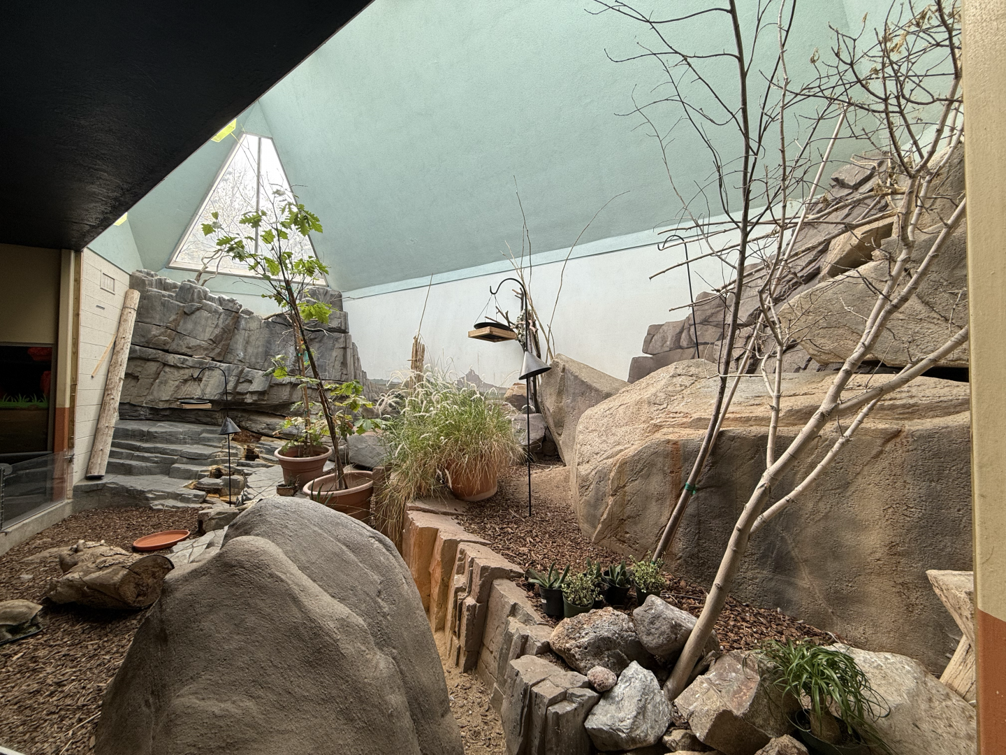 Sonoran Desert Habitat - Desert Zone - Small Animal Building