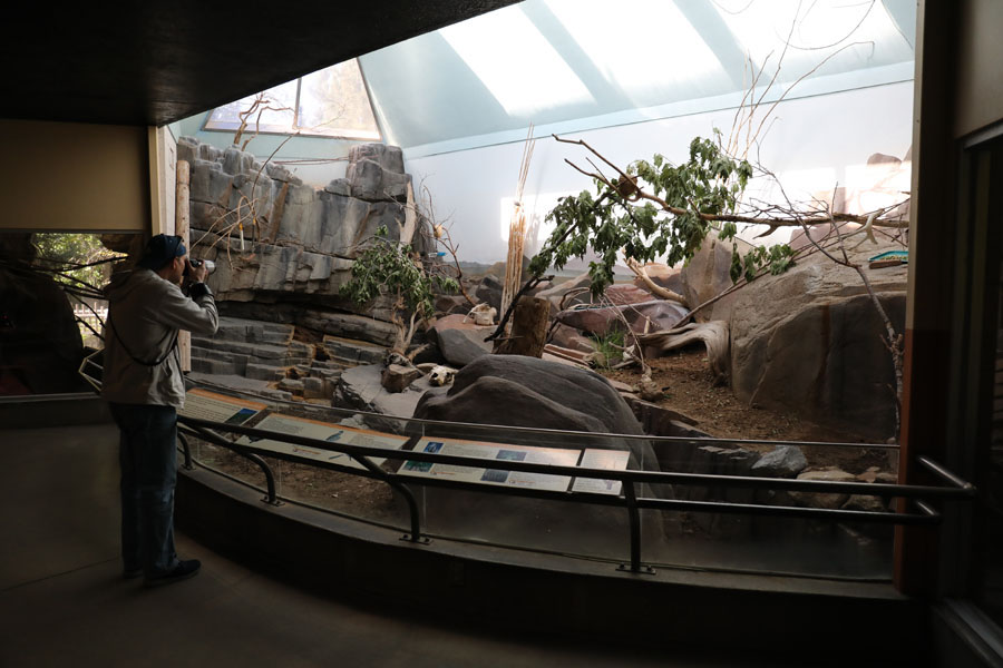 Sonoran Desert in small animal building