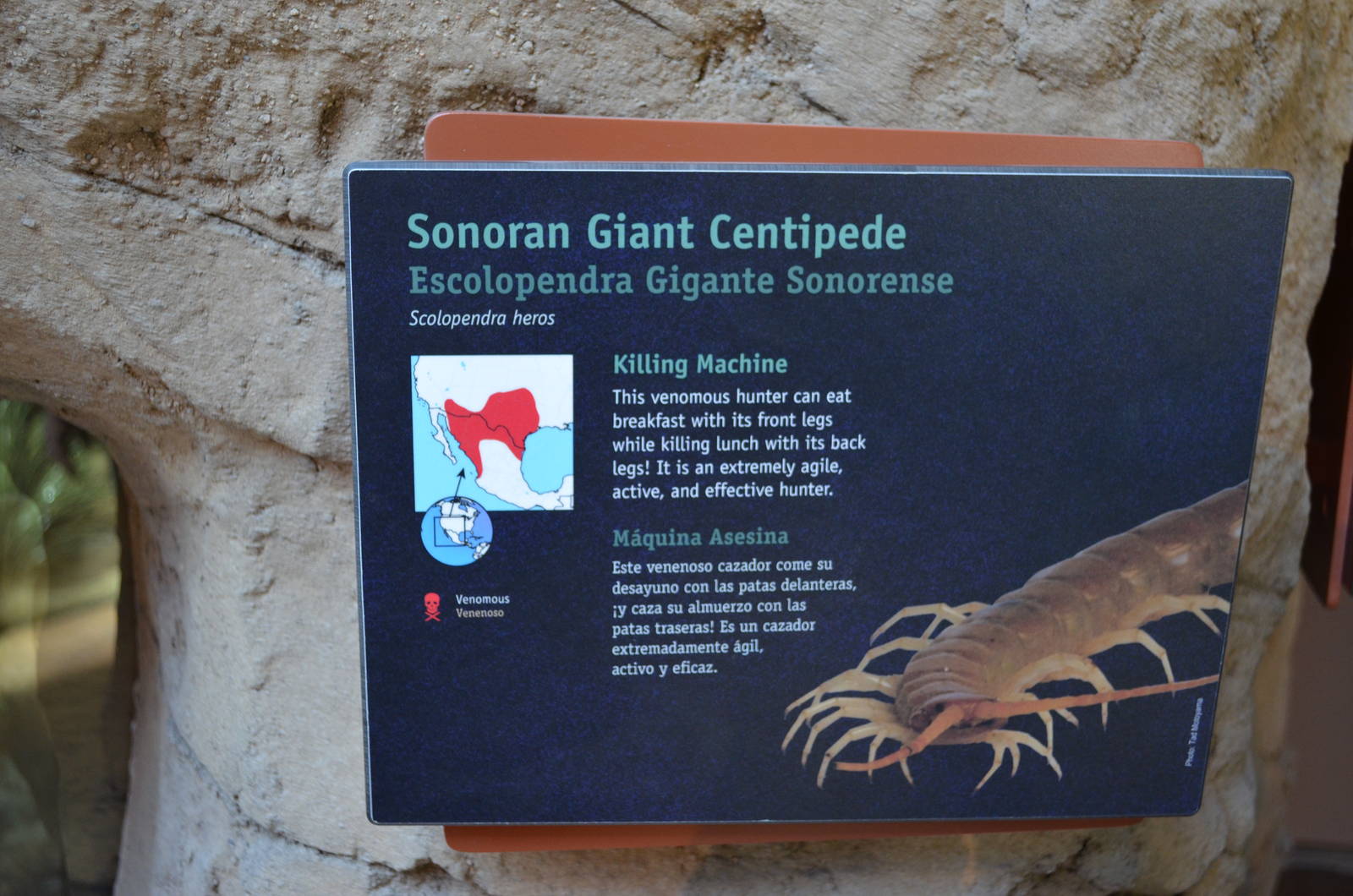 SONORAN GIANT CENTIPEDE SIGNAGE