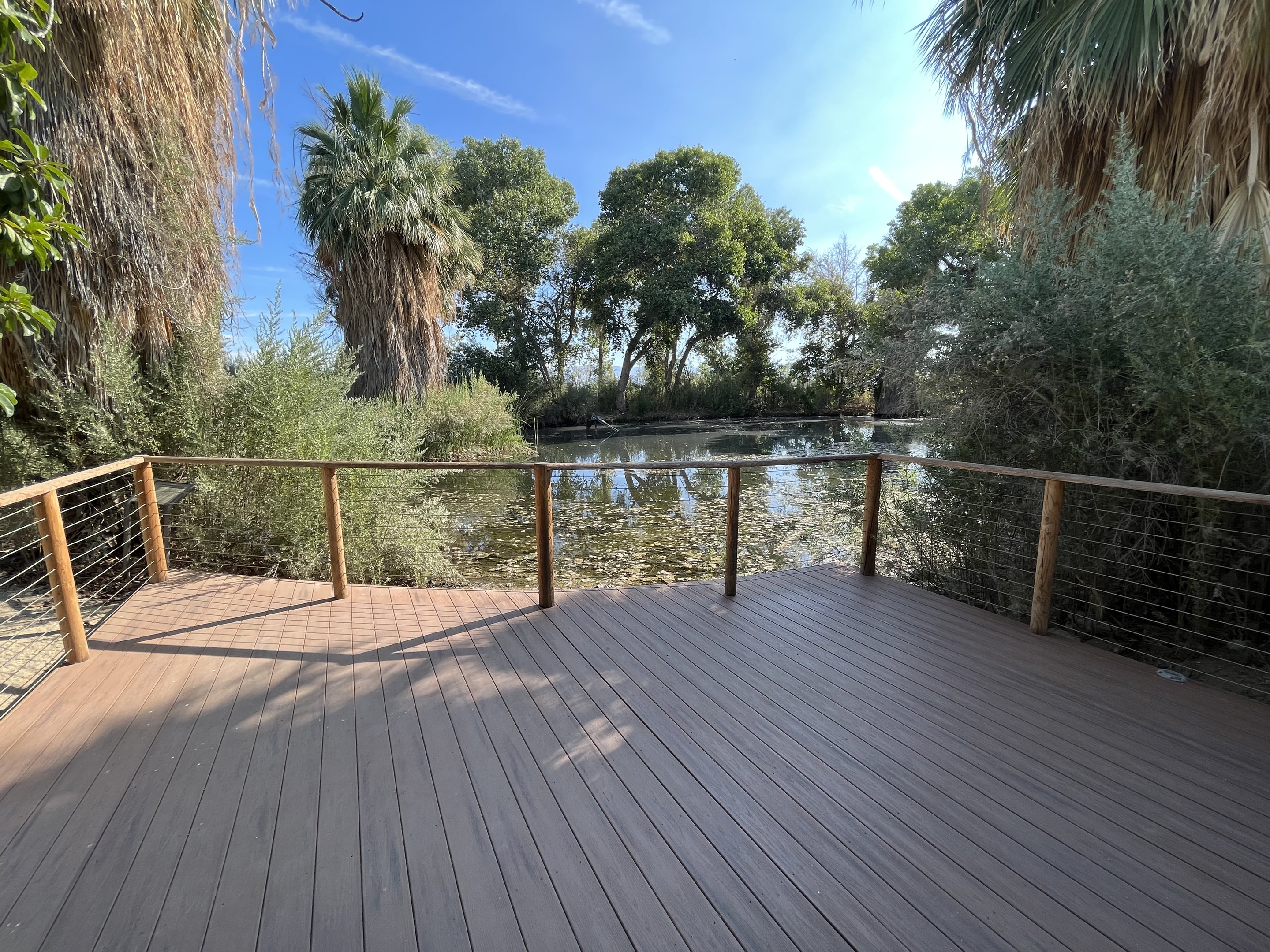 Sonoran Pond Overlook