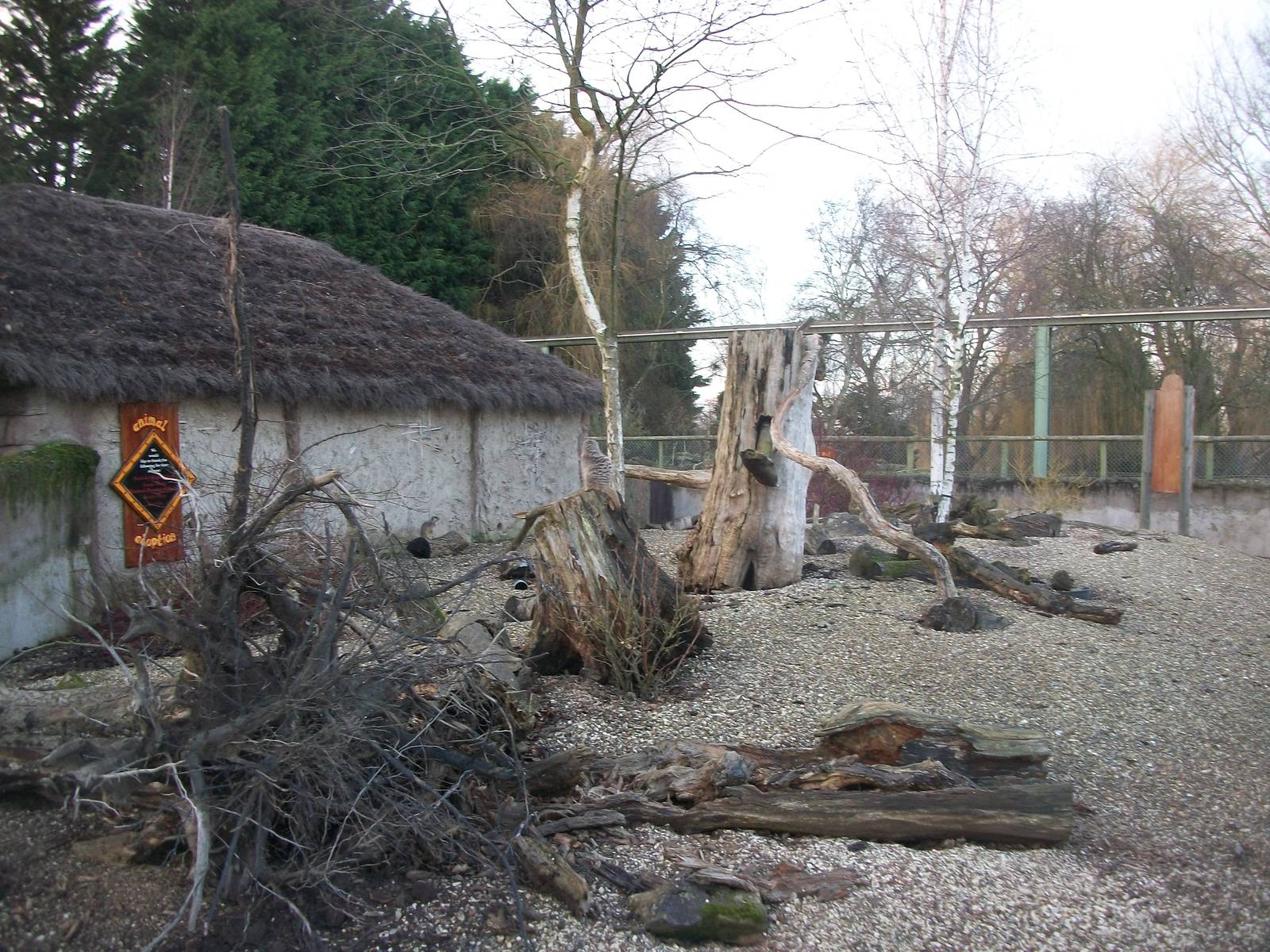 Soon to be demolished? 4th January 2013