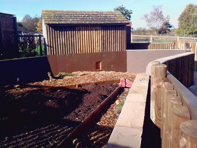 Soon to be Dwarf Mongoose Exhibit