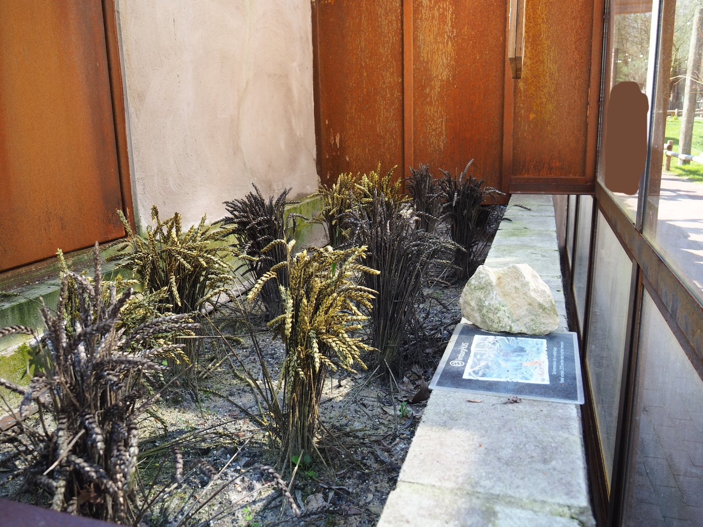 Soon-to-be European hamster exhibit, 2019-03-30