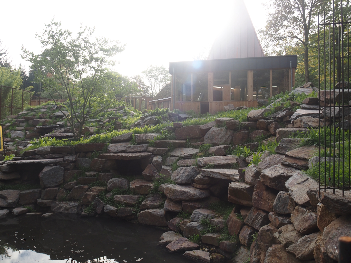 Soon-to-be exhibit for Yellow-footed rock wallabies, 2025-09-30