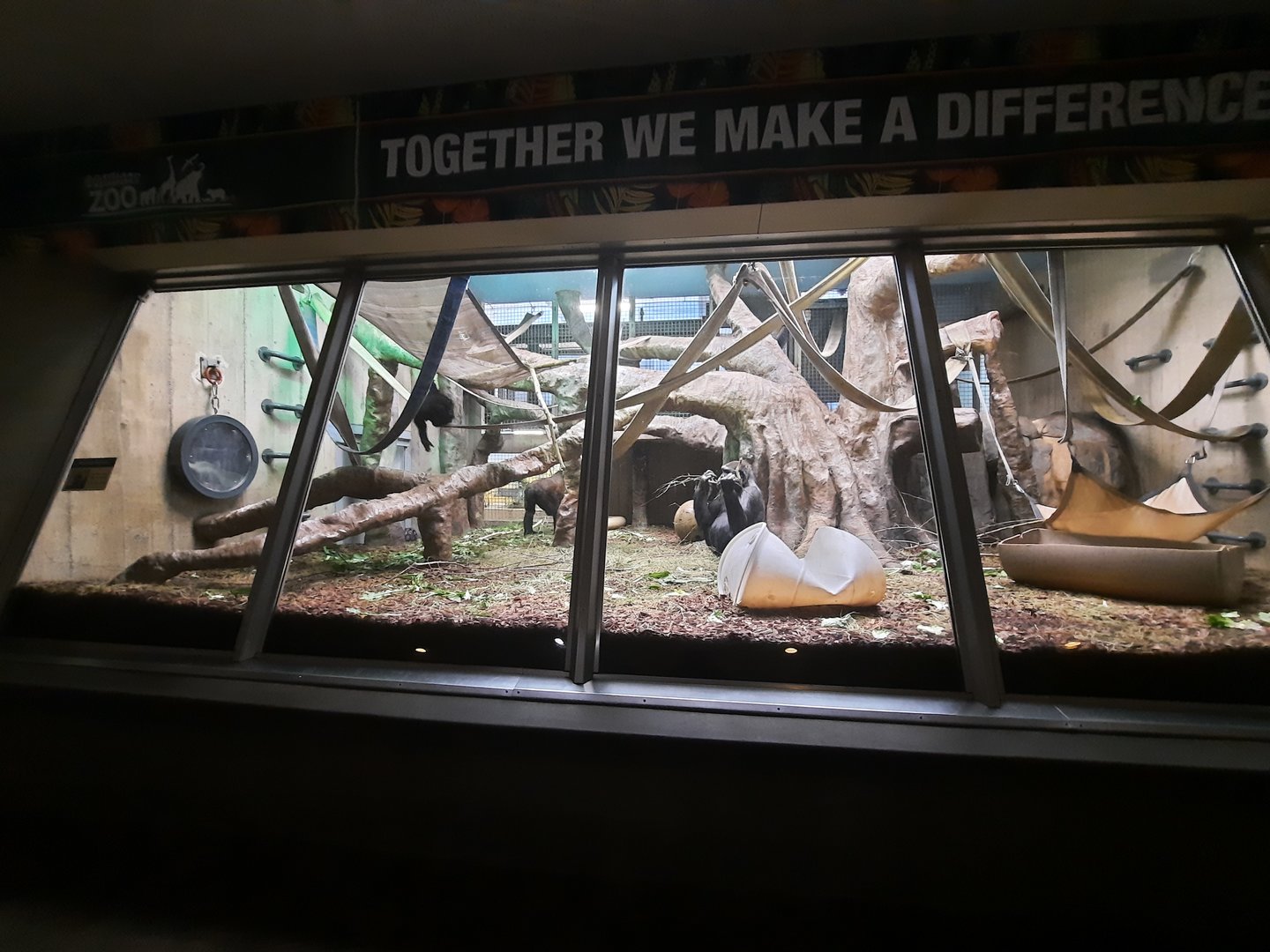 (Soon to be Former) Indoor Gorillas Exhibit