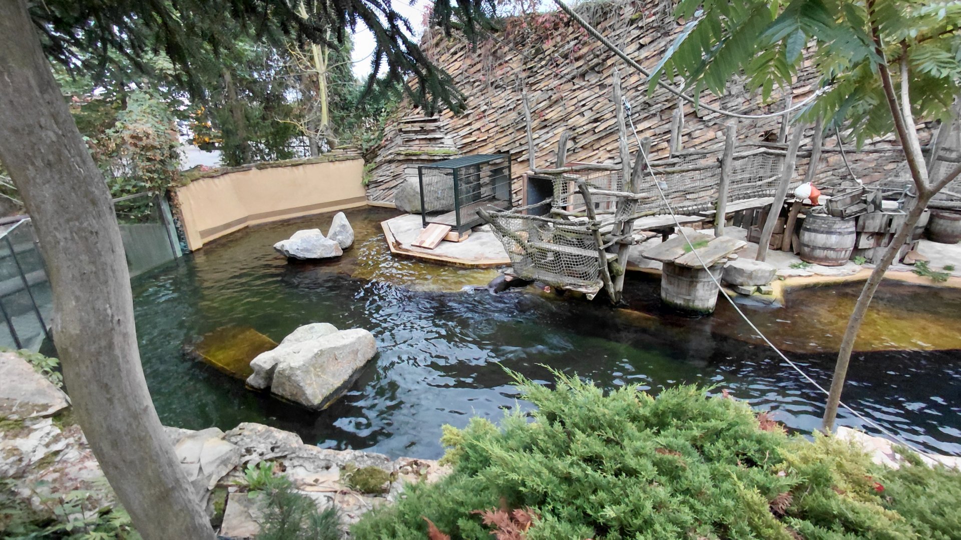 (Soon to be former) sea lion exhibit