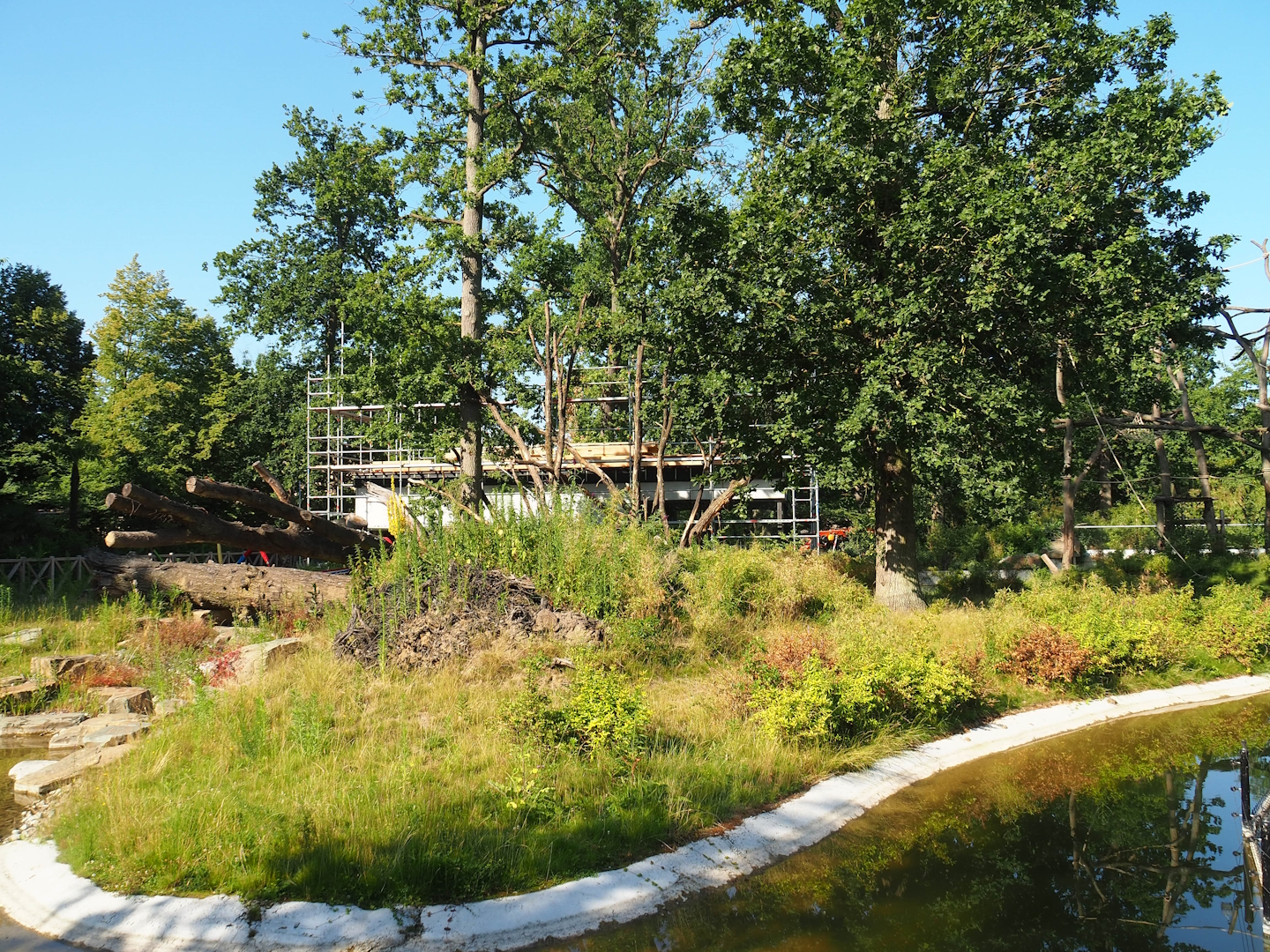 Soon-to-be new Sulawesi crested macaque island, 2023-07-19