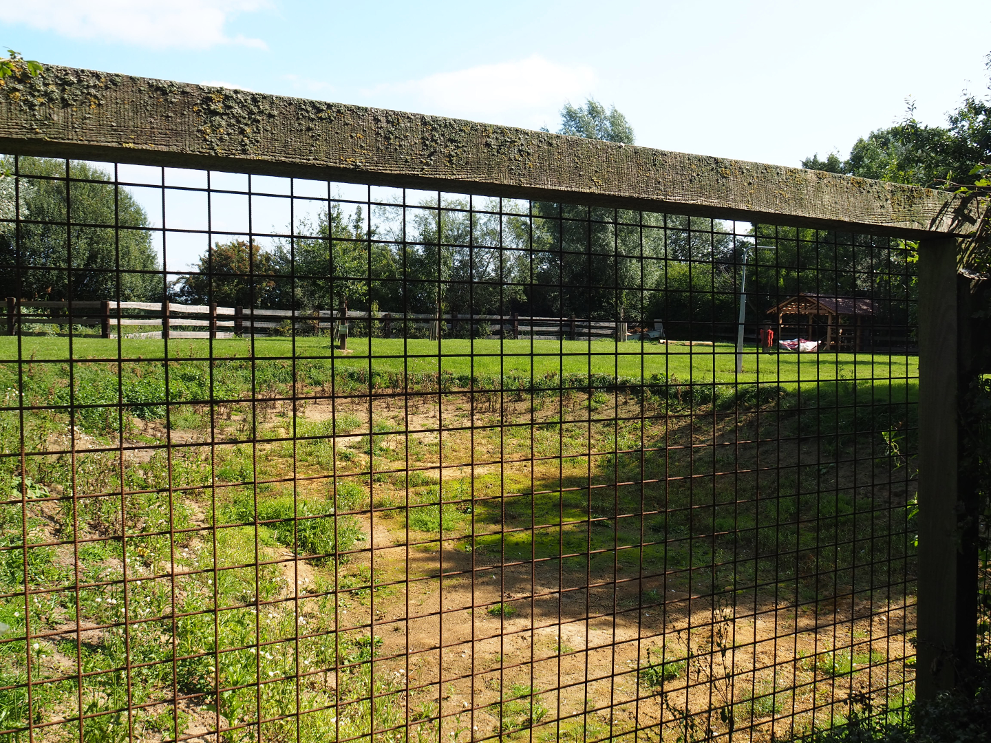 Soon-to-be water buffalo paddock, 2020-09-12