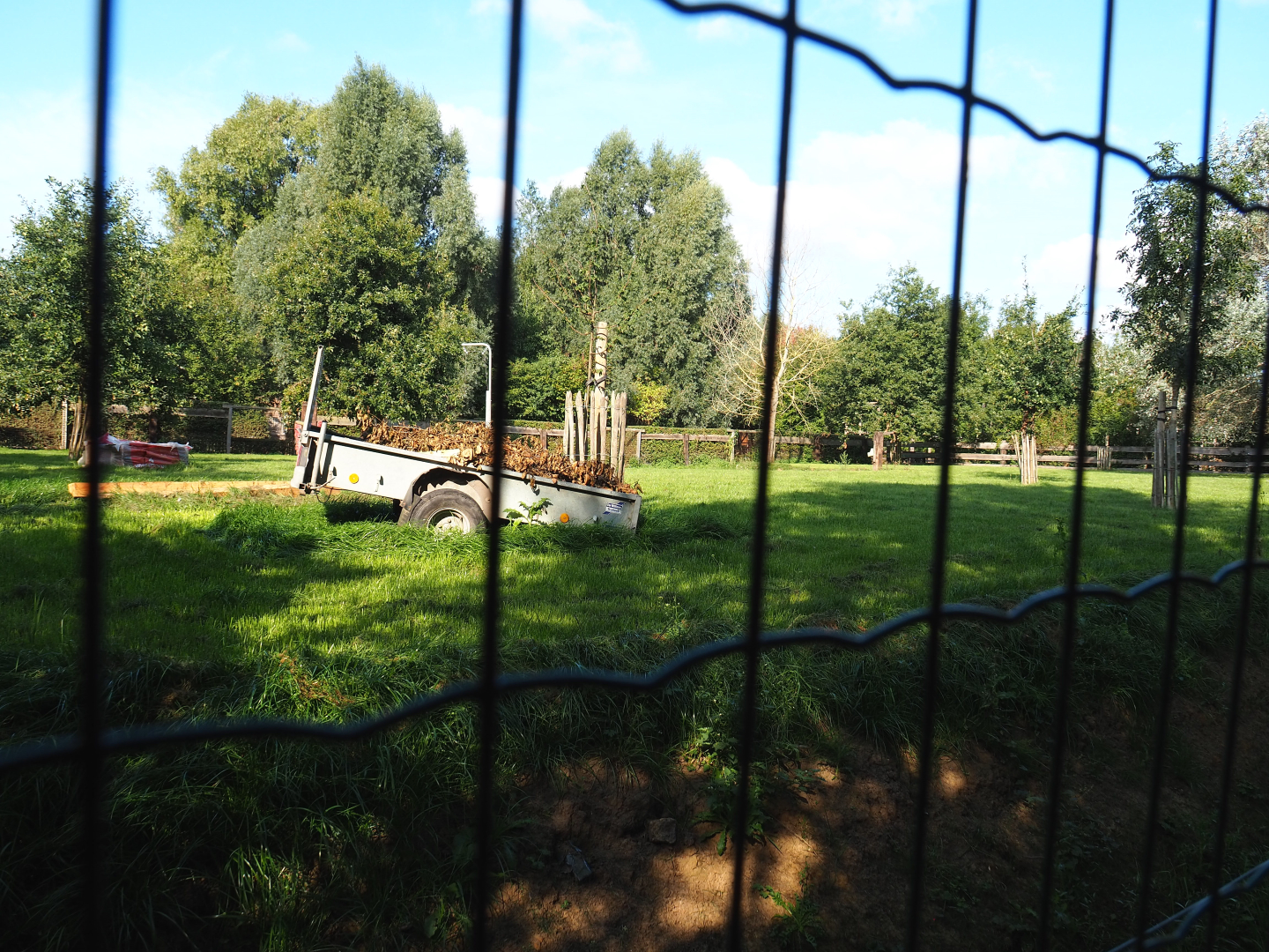Soon-to-be waterbuffalo paddock, 2020-09-12