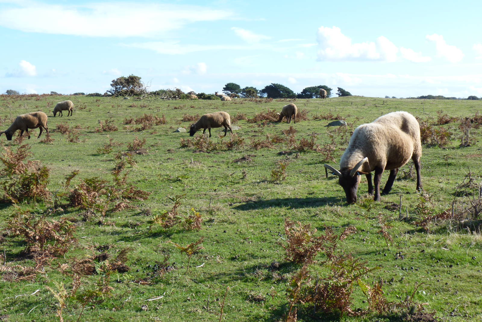 Sorel Point, October 2016