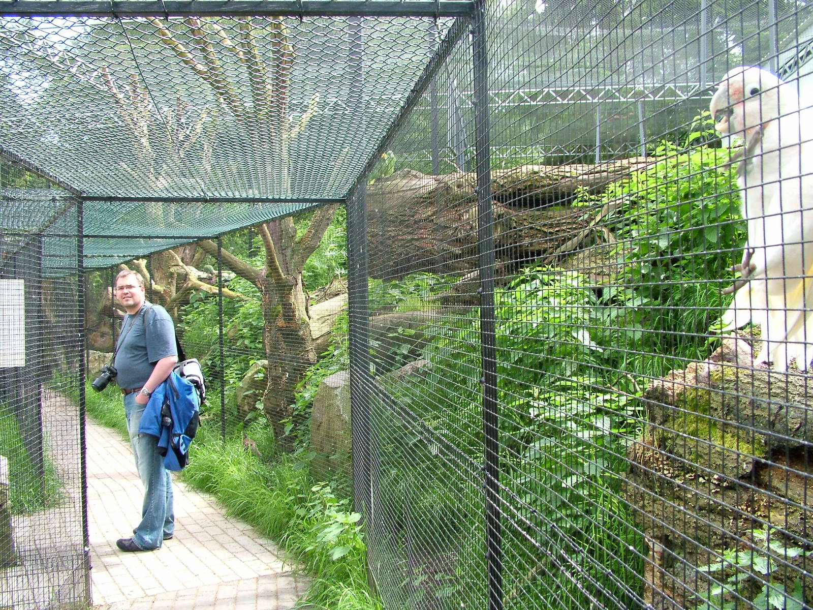 Sort-of-walkthrough Aviary at NOP, Veldhoven 16/05/09