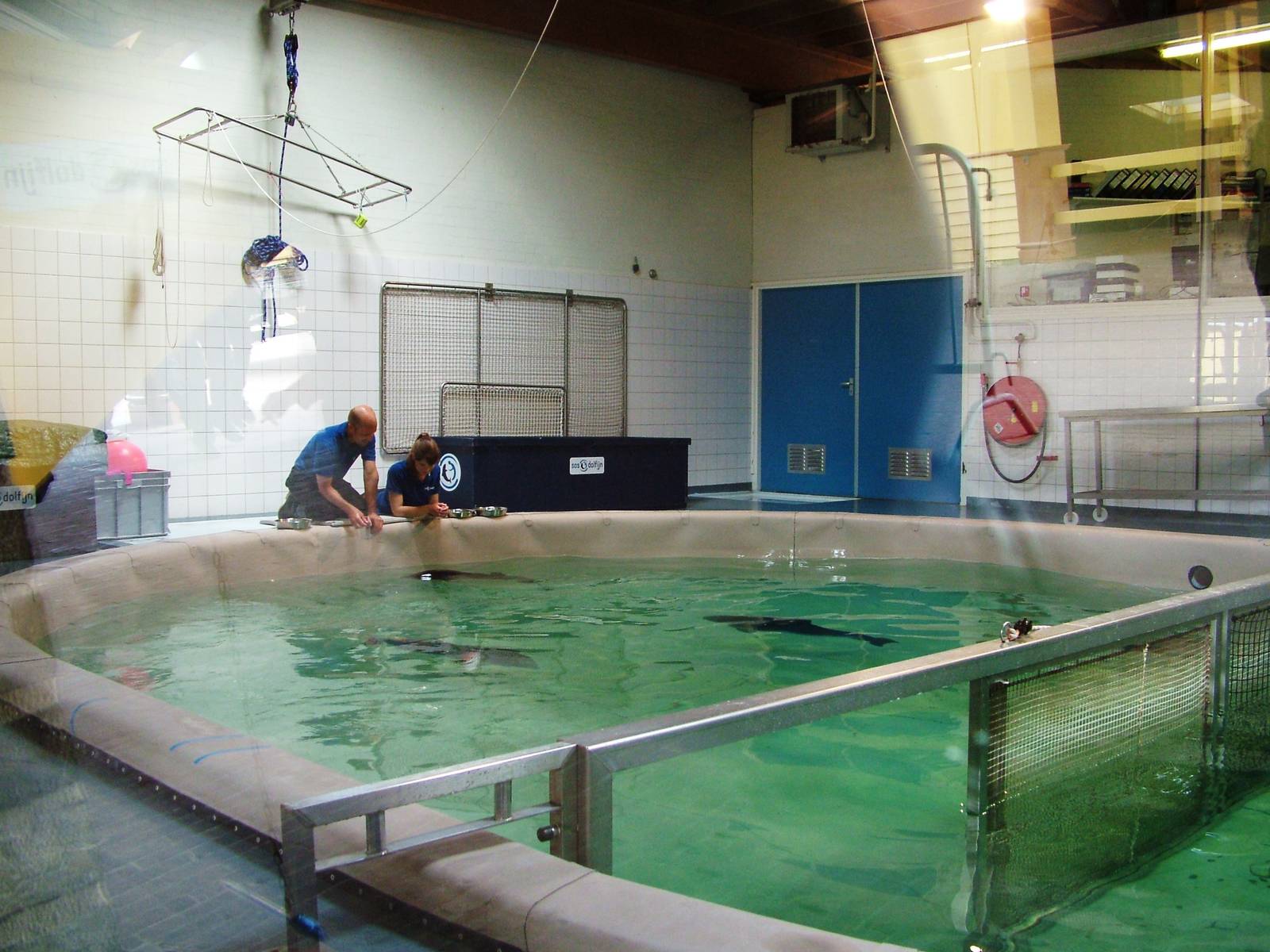 SOS Dolfijn Rehabilitation Centre at Harderwijk, 01/06/12