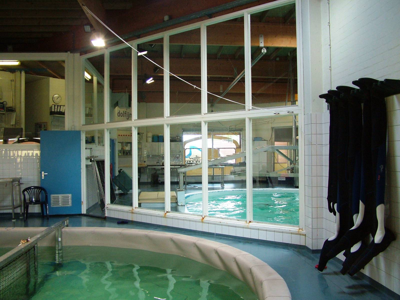 SOS Dolfijn Rehabilitation Centre at Harderwijk, 01/06/12