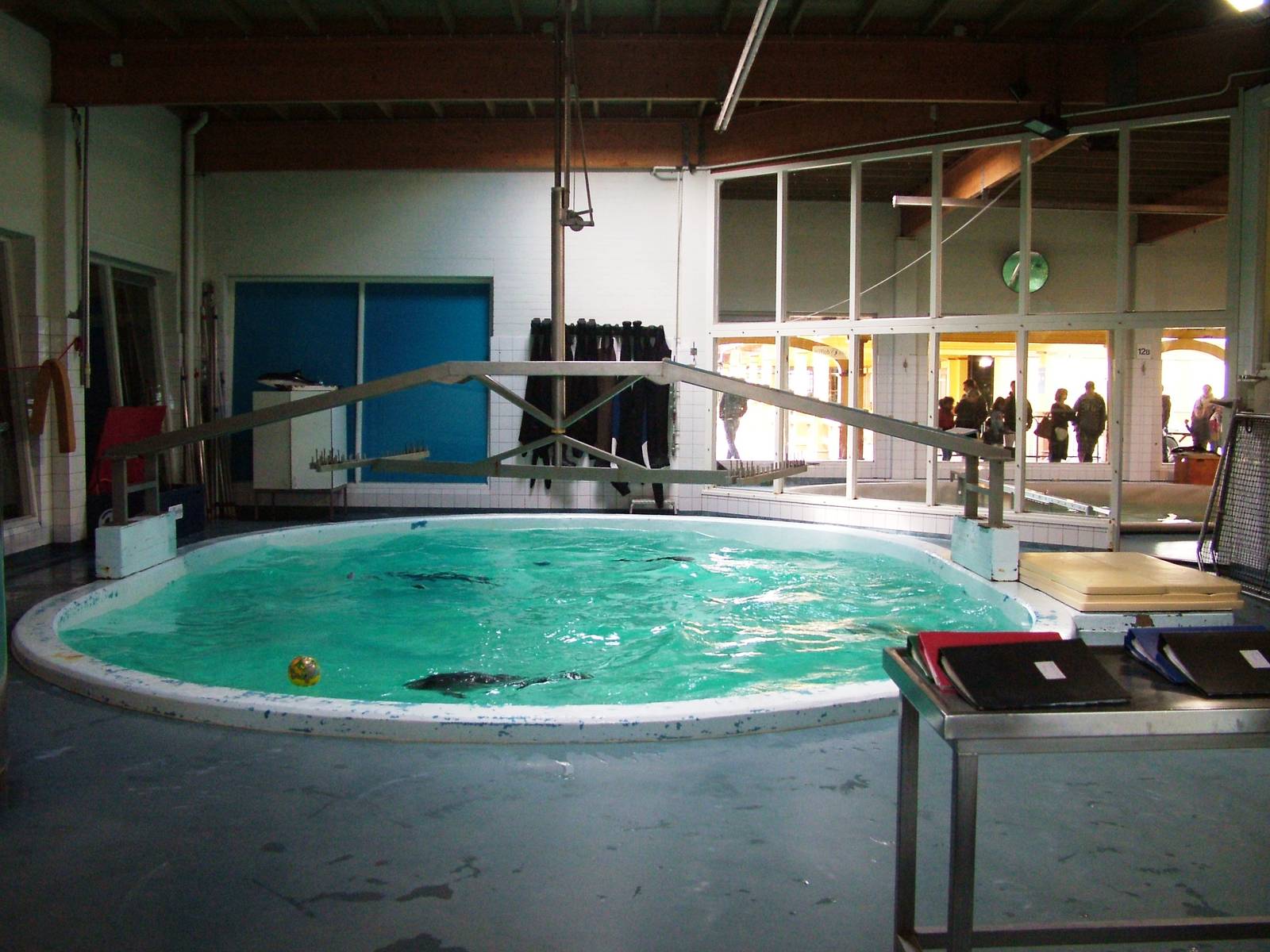 SOS Dolfijn Rehabilitation Centre at Harderwijk, 01/06/12