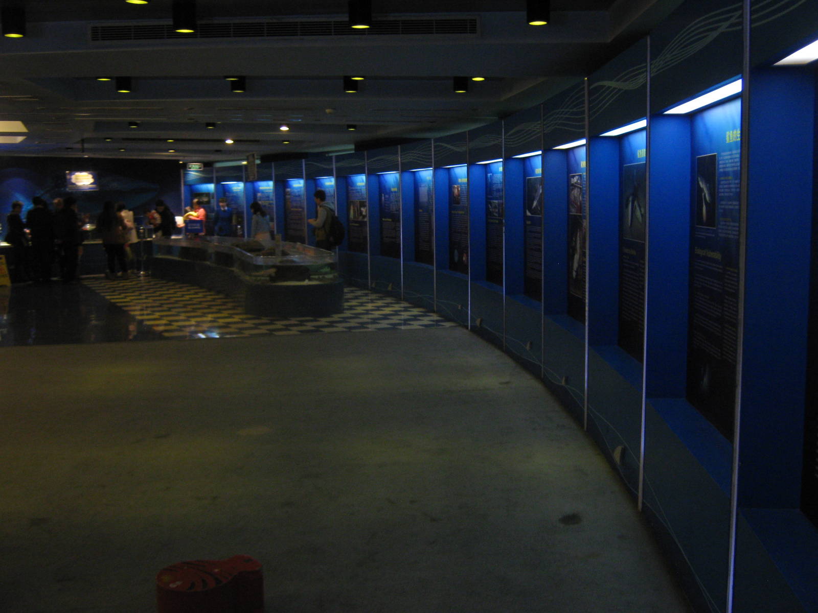 SOS Save Our Sharks exhibit area