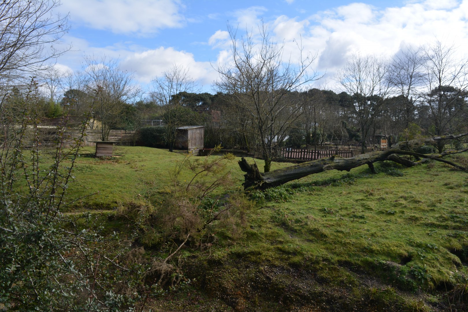 Soudan Cheetah enclosure