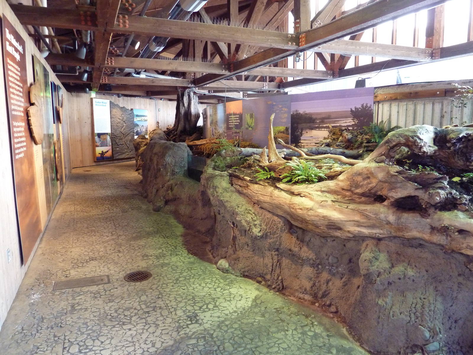 Sound To Mountains Exhibit