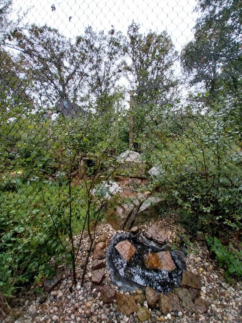 Souslik and Pheasant aviary