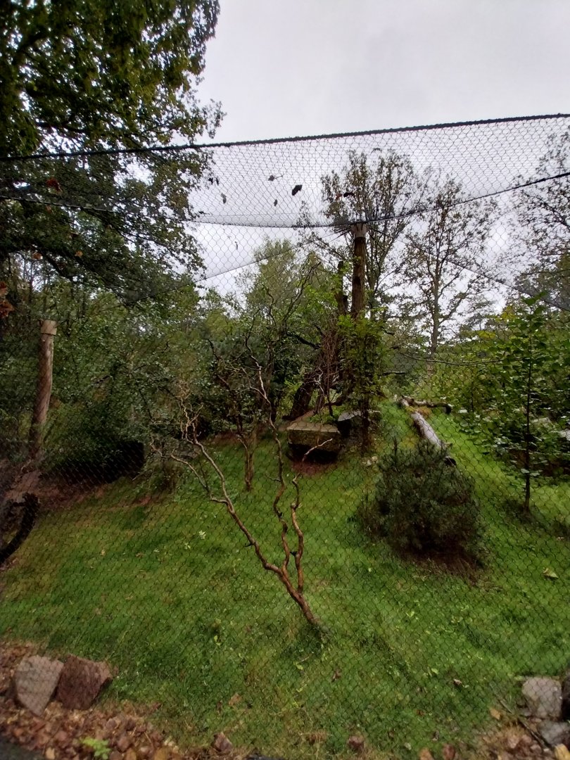 Souslik and Pheasant aviary