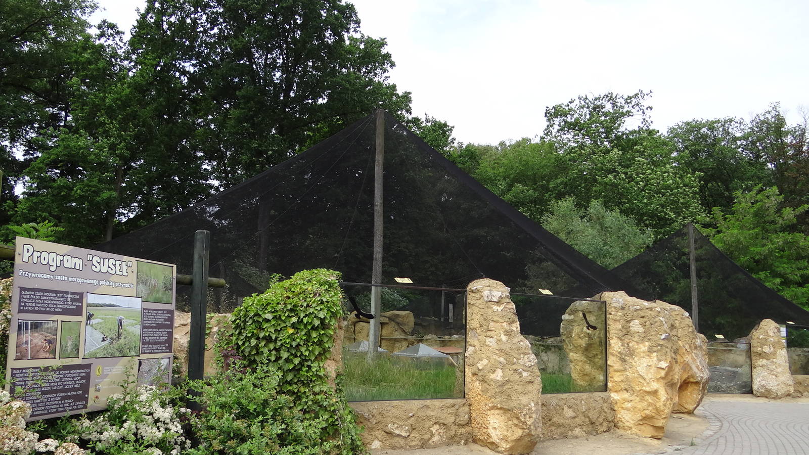 Souslik and Prairie Dog exhibits