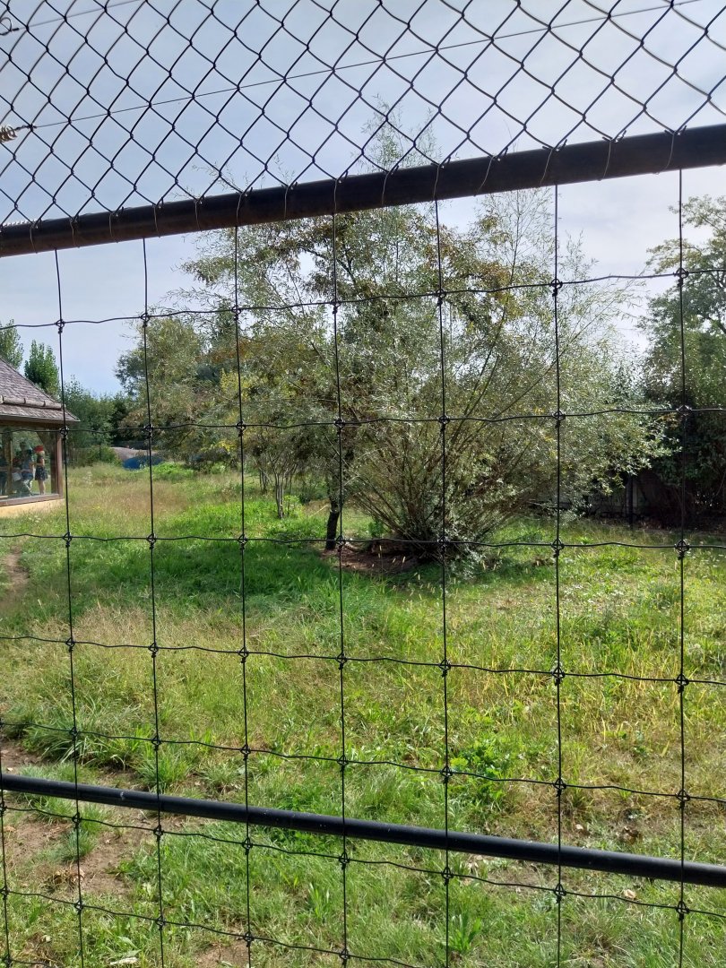 South Africa cheetah enclosure