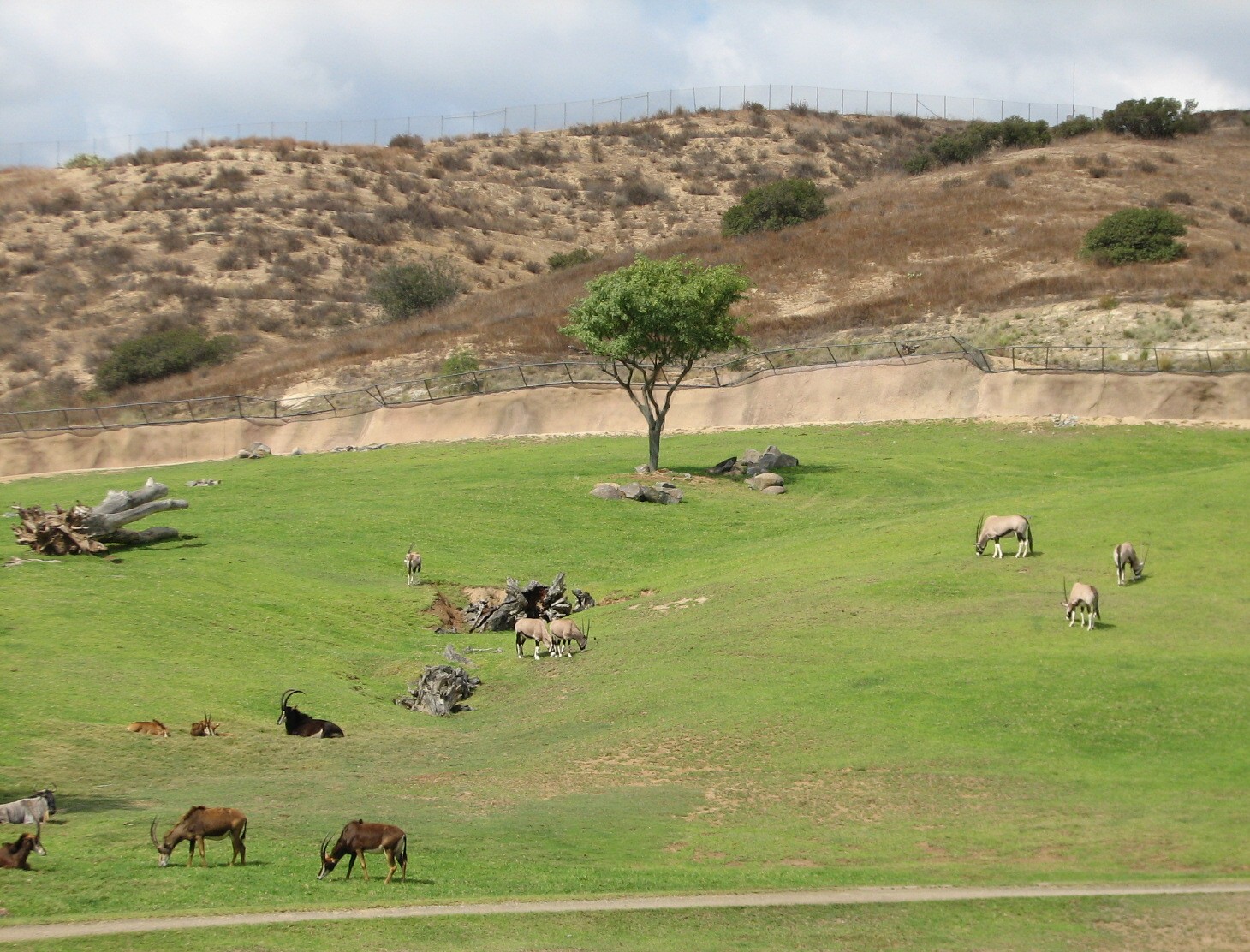 South Africa Exhibit
