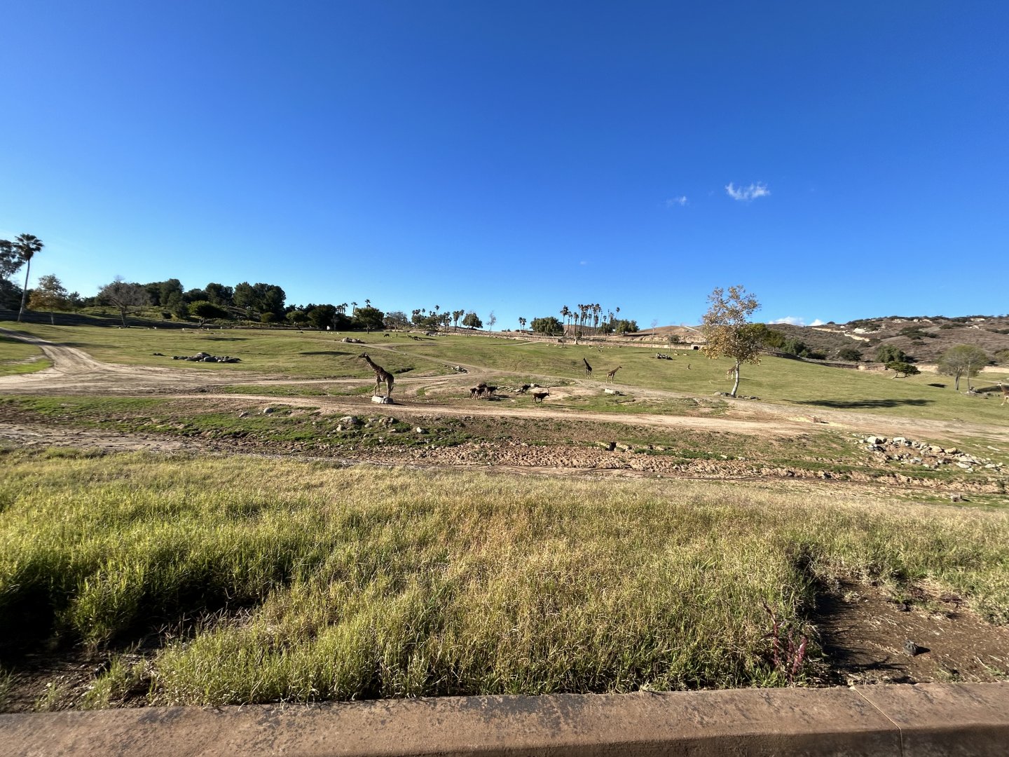 South Africa Field Exhibit