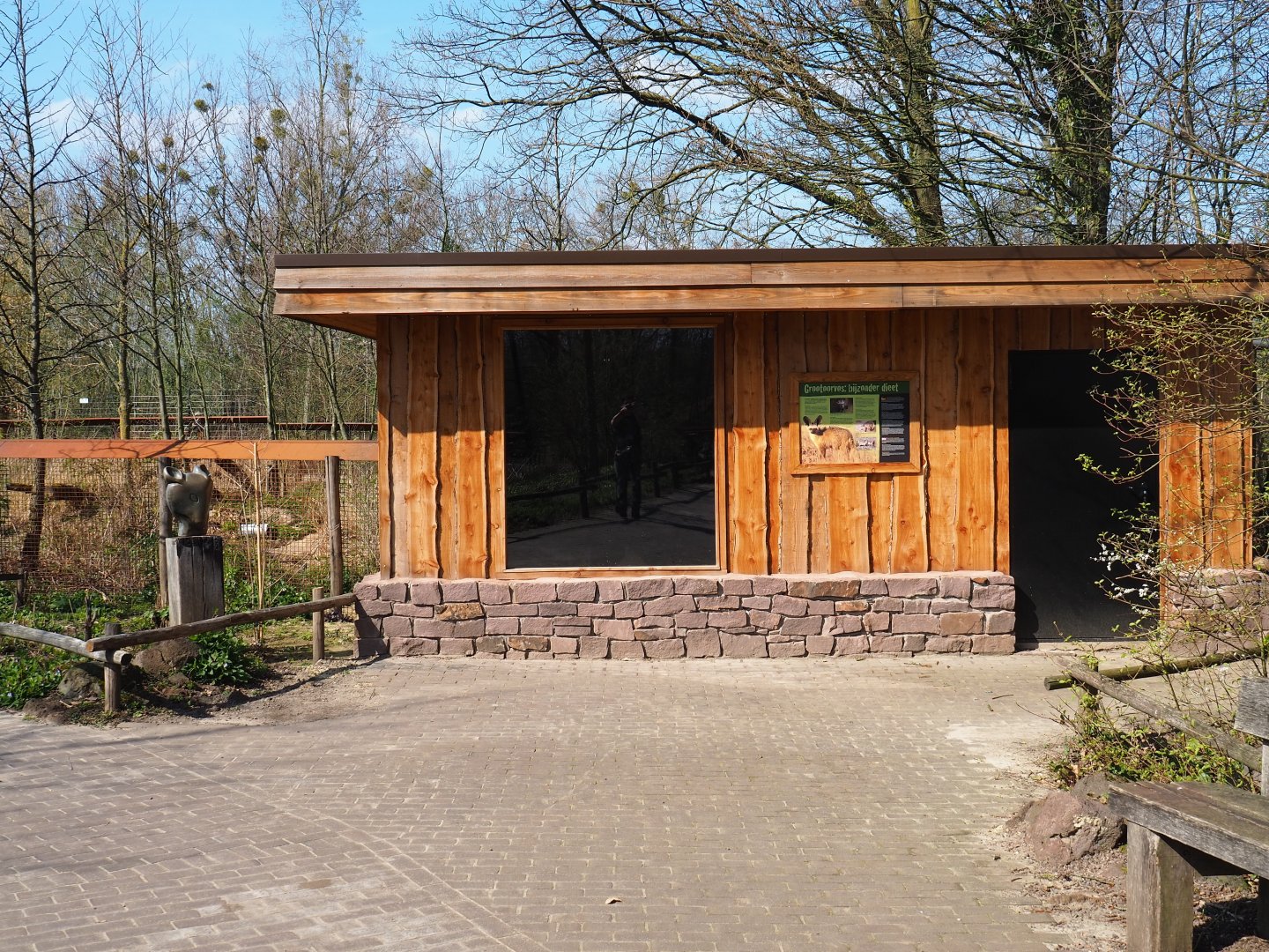 South African bat eared fox house, 2019-03-30