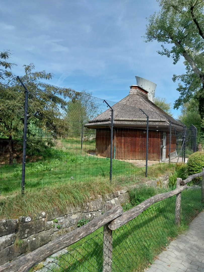 South African cheetah building